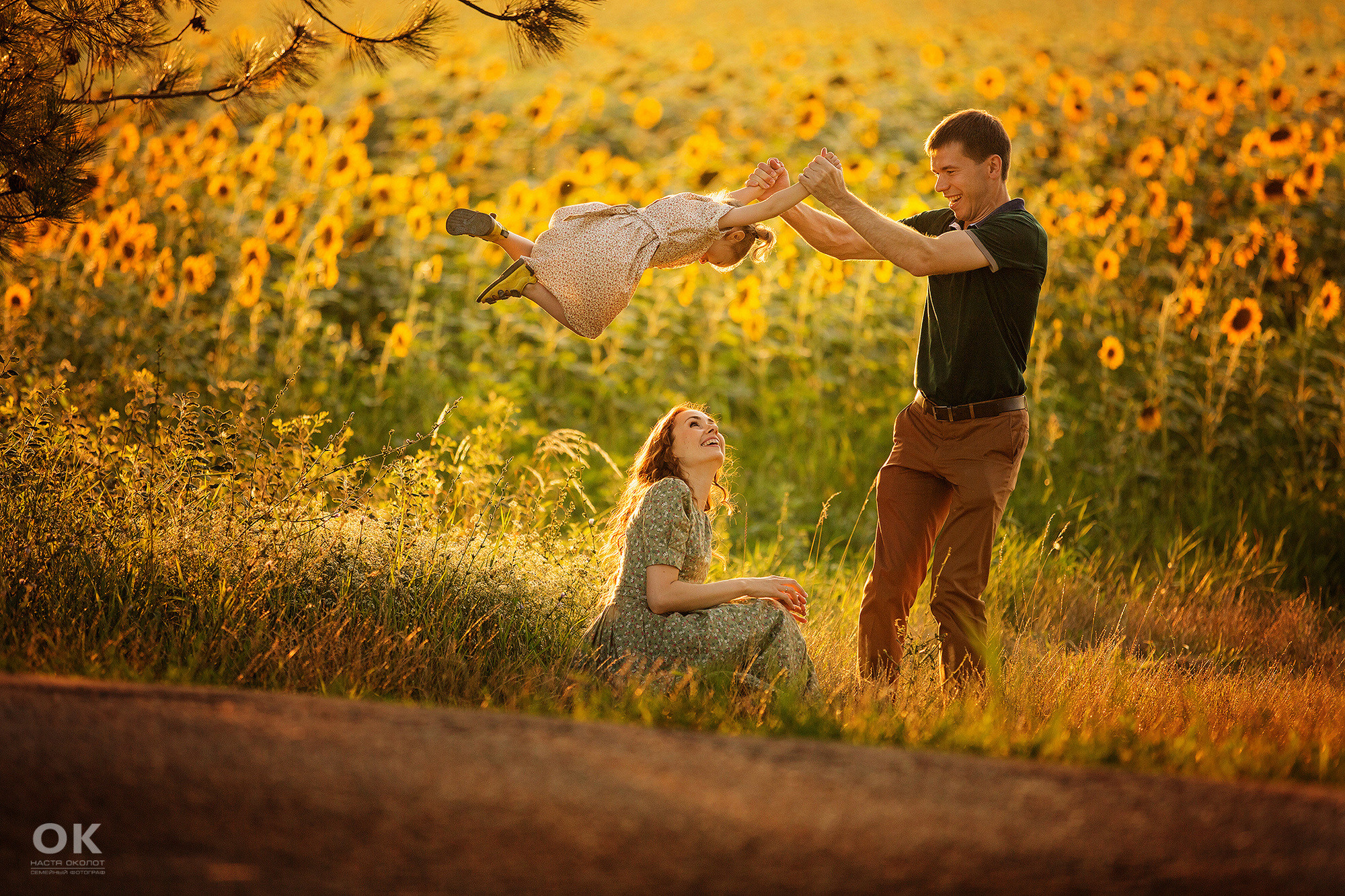 Семейная фотосессия в подсолнухах