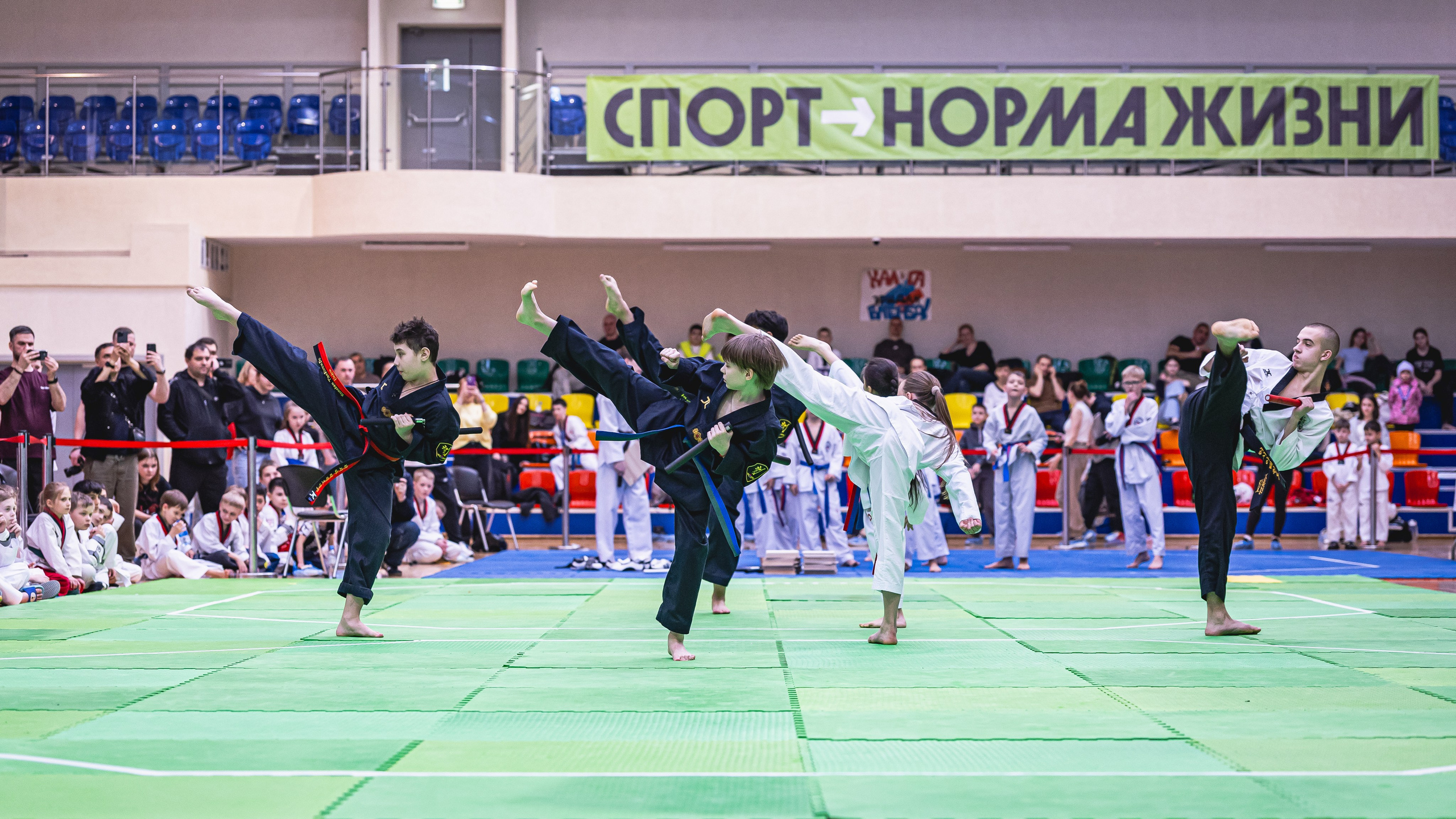 Турнир ВДЮФСОО «ФЕДЕРАЦИЯ ДЕТСКОГО ТХЭКВОНДО РОССИИ» и МОО СПКЕ «ЭРИДАН» по «СПОРТИВНОМУ БОЮ КЕРУГИ». Спортивный фотограф Максим Серегин