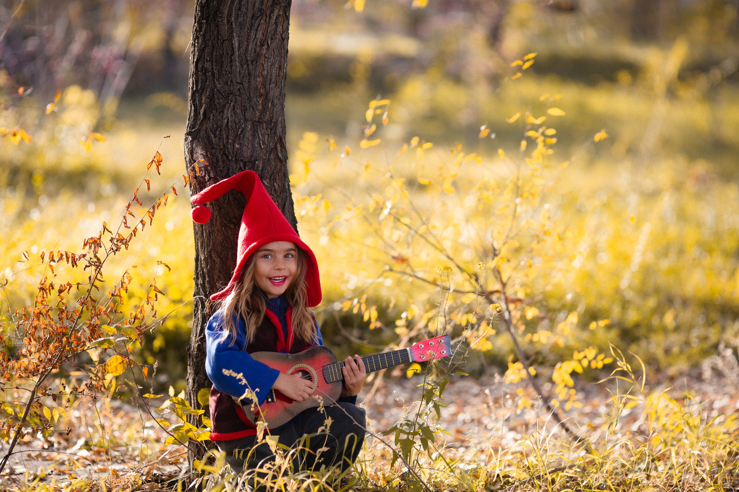 Лесные гномы