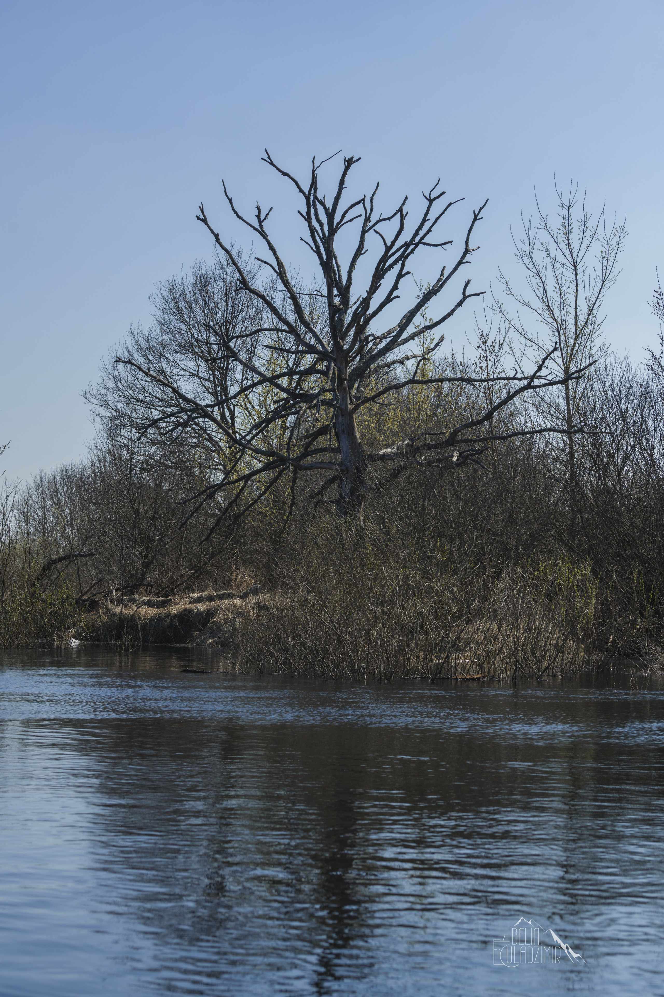Сплав по реке Тремля 04.04.2026. Репортажный фотограф Владимир Беляй