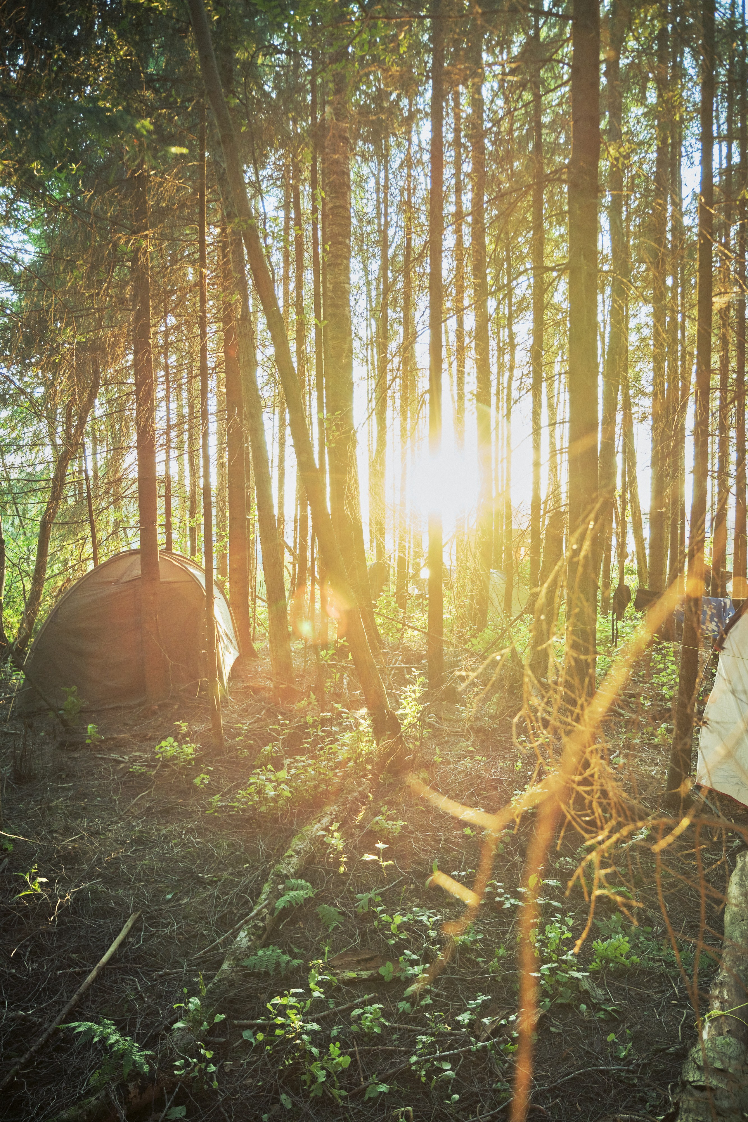 Фестиваль Ethnoscope | июль 2025. Misha Light ✨ Photography