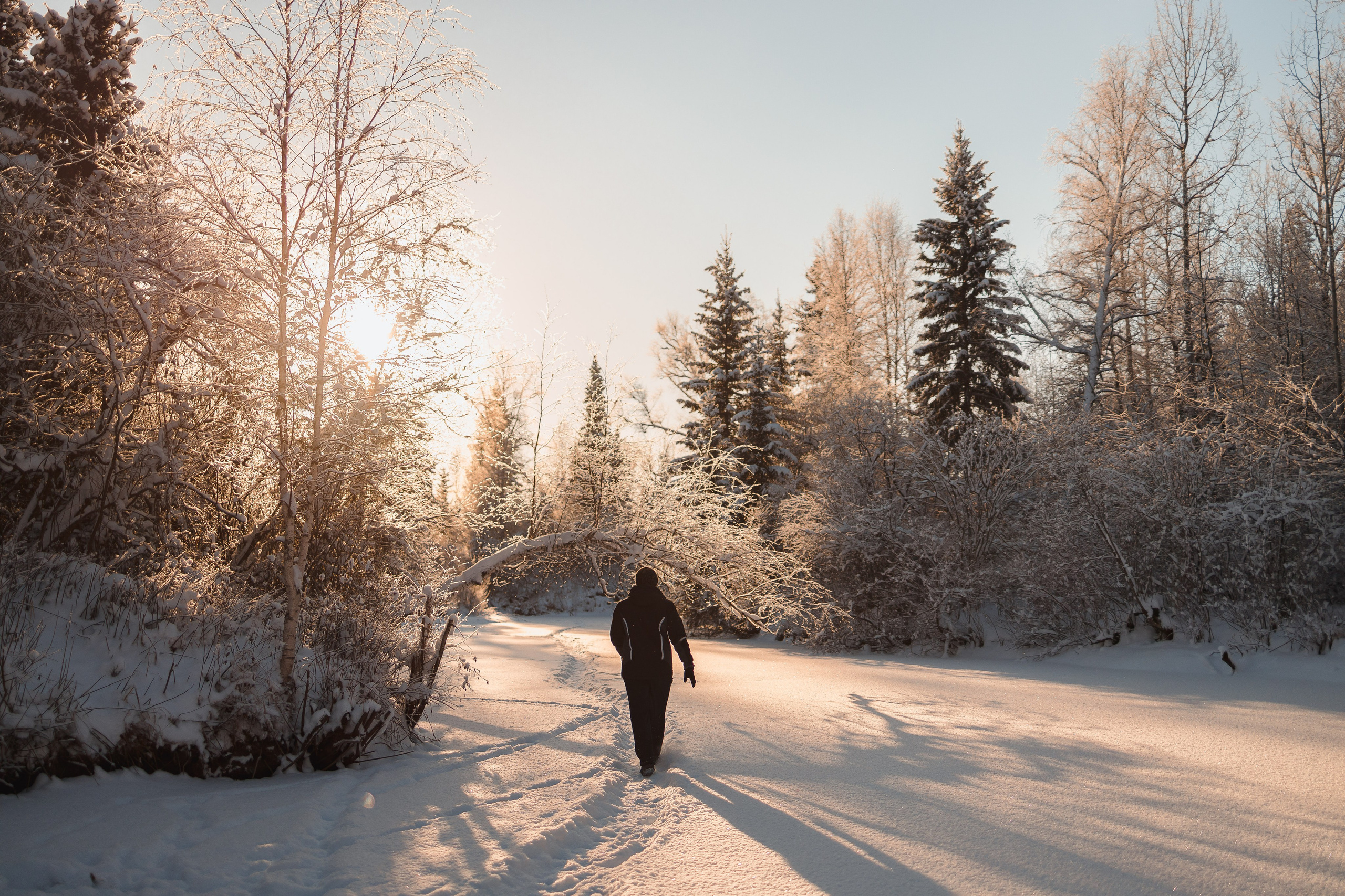 Зима 2023, -30. Семейный и детский фотограф в Железногорске Саламахо Ольга