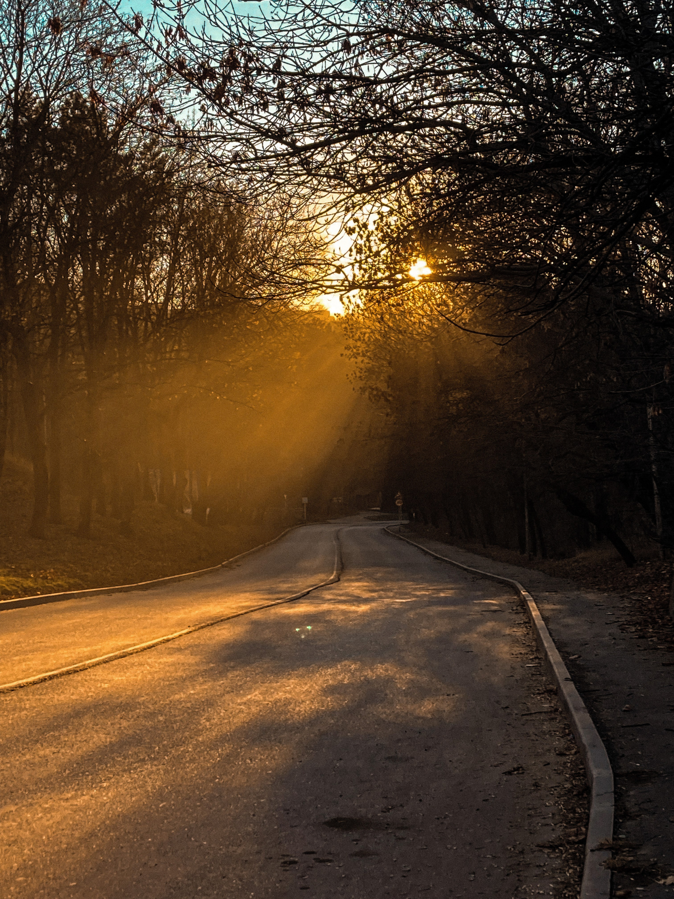 Кисловодск. Смотри, красота!