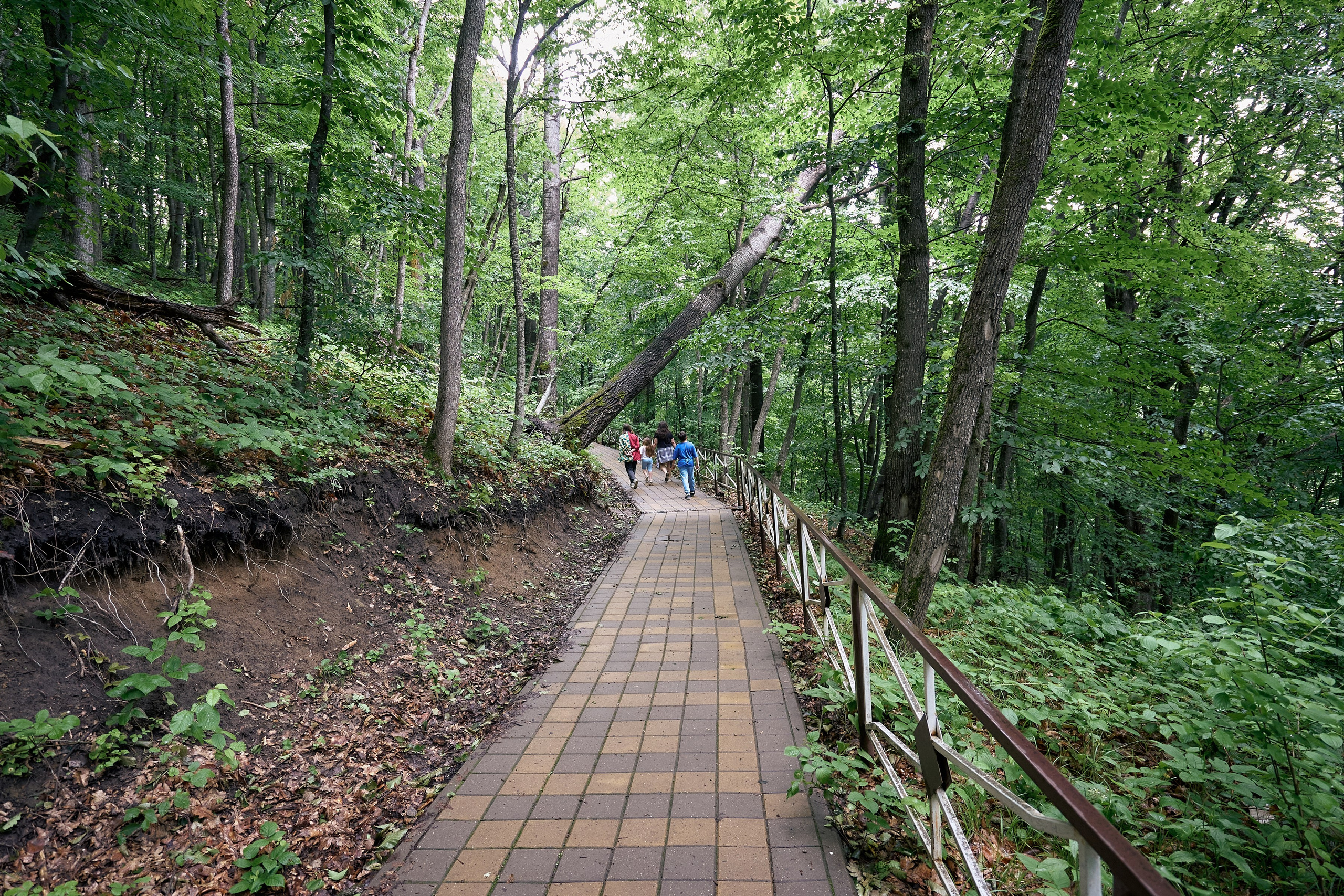 Монастырь. Петр Ступень. Свадебное, семейное фото и видео. Москва. Краснодар