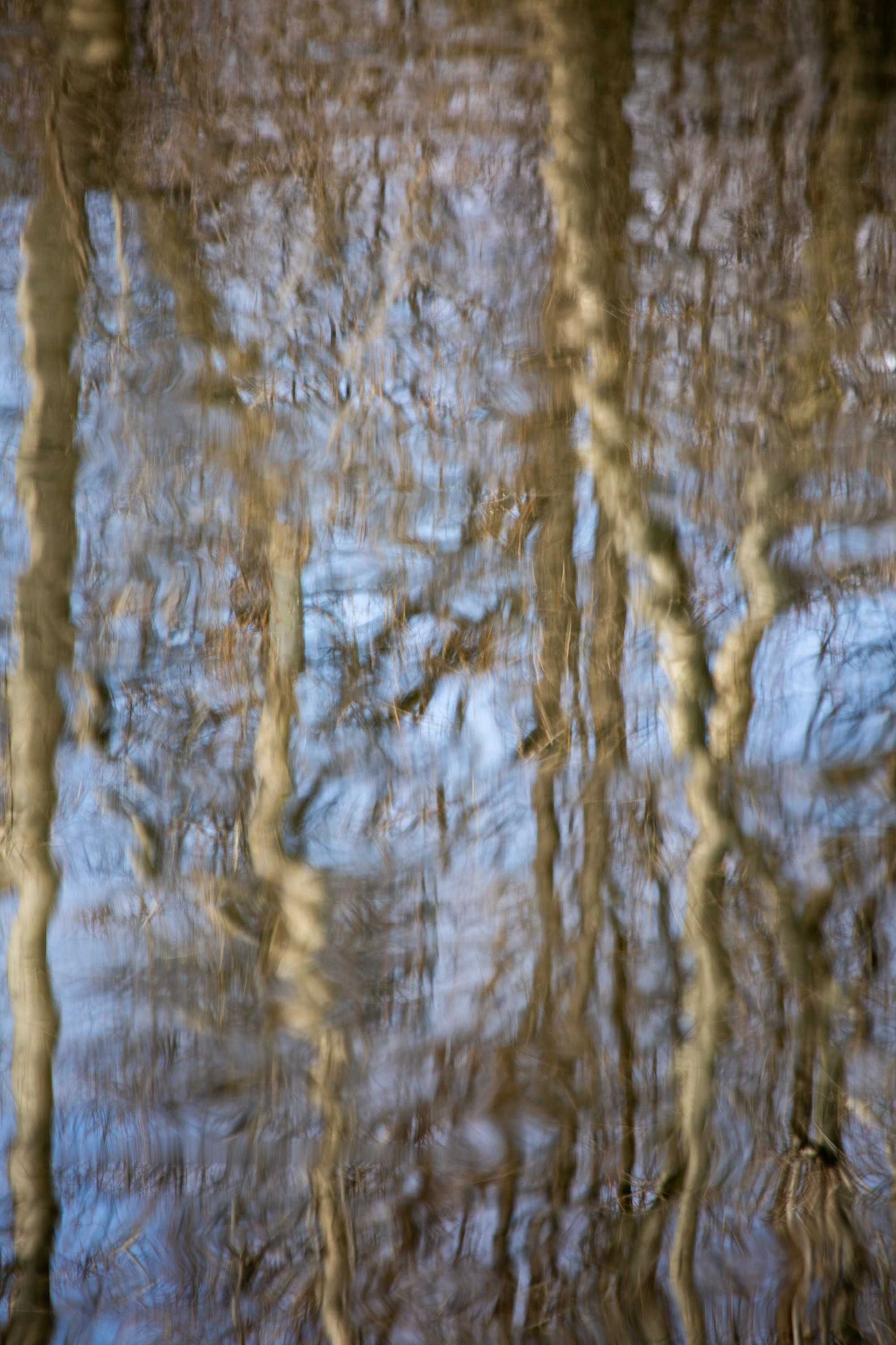 Весенняя фотопрогулка. Главная