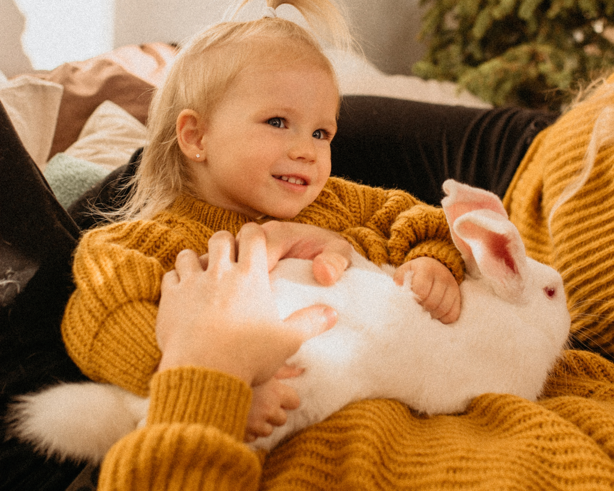 Фотостудия Молоко в Минске