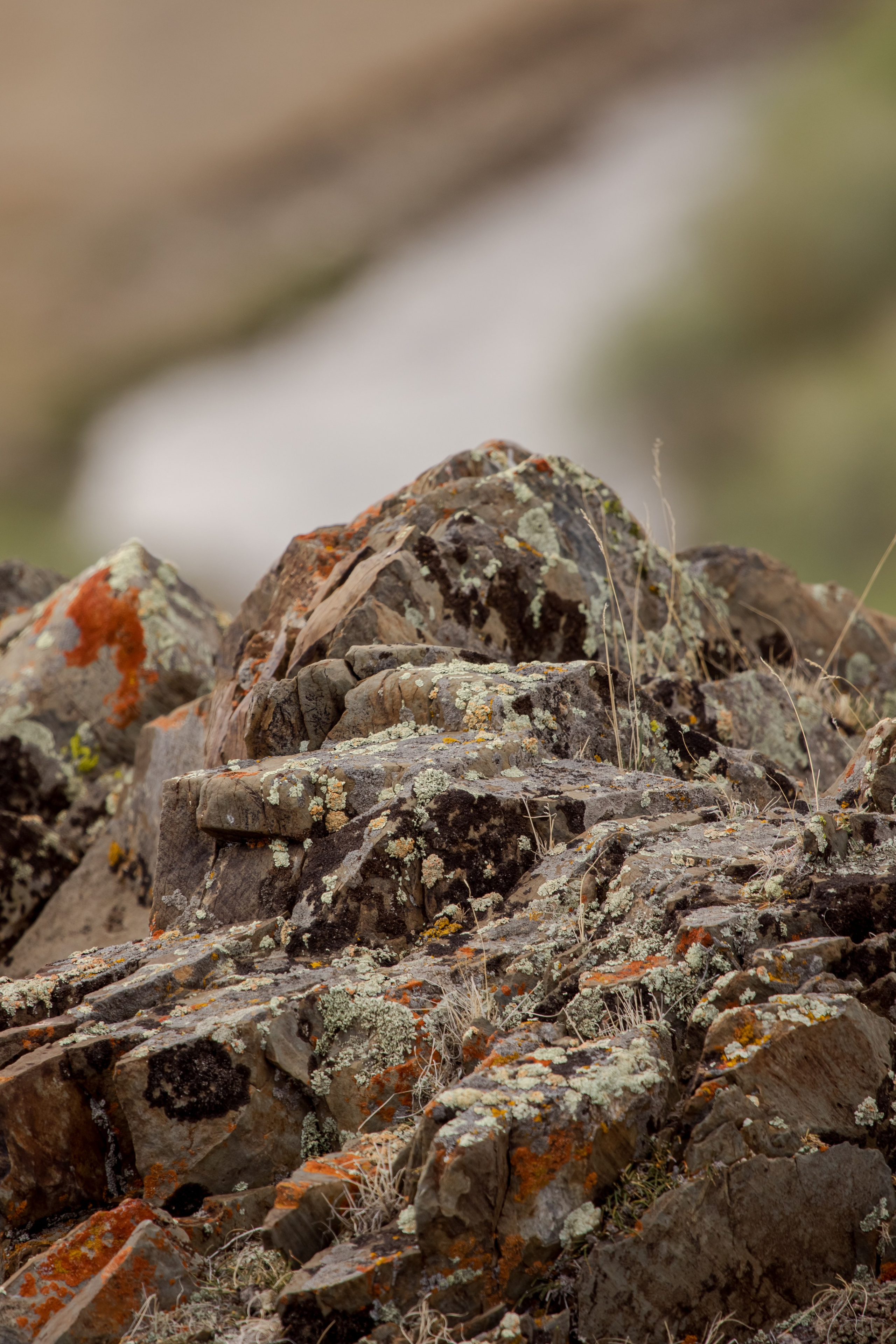 Горный Алтай. Фотограф Кирилл Мешков Кемерово