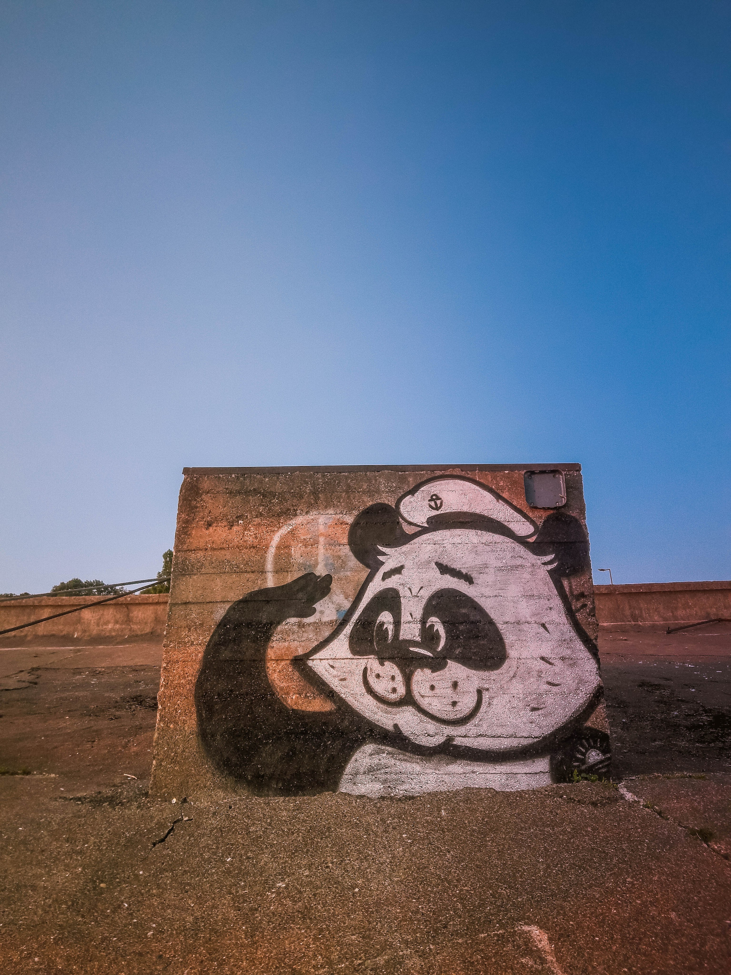 Graffiti. Alexander Stan Shimanov