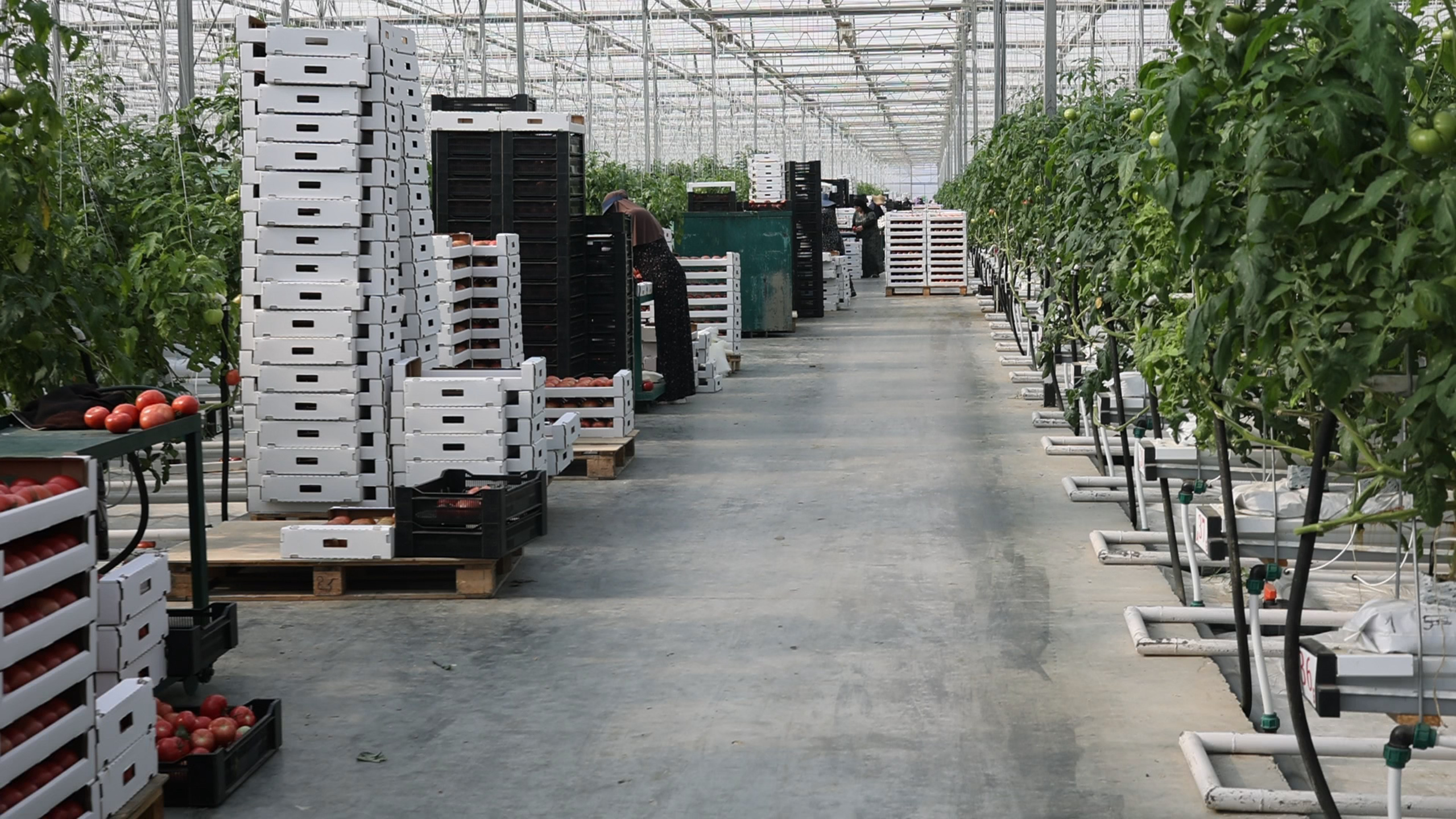 БИОЭНЕРГИЯ — Производство субстрата для теплиц, маты для выращивания