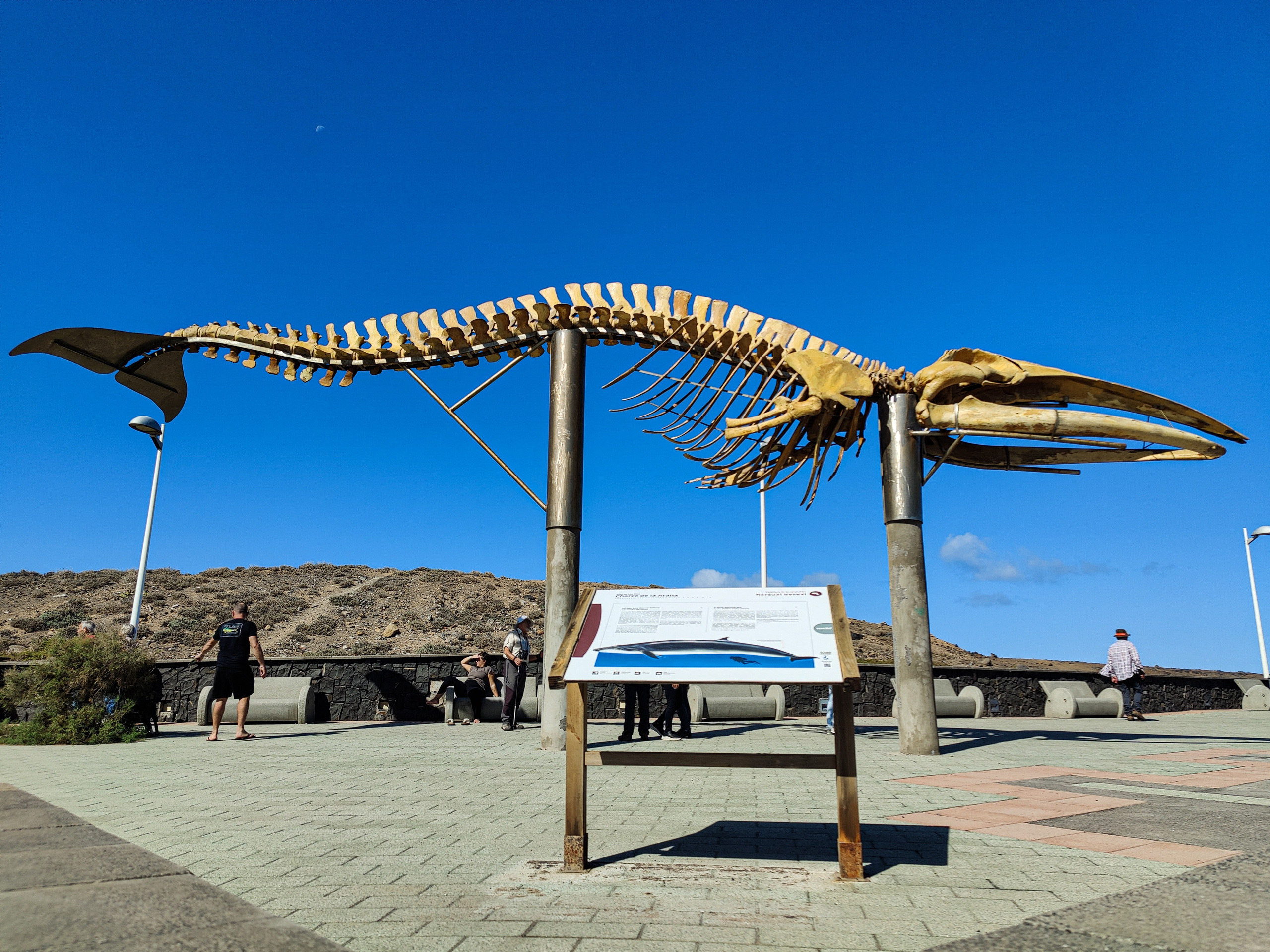 Tenerife. Фотограф и видеограф в Израиле Соня Скай