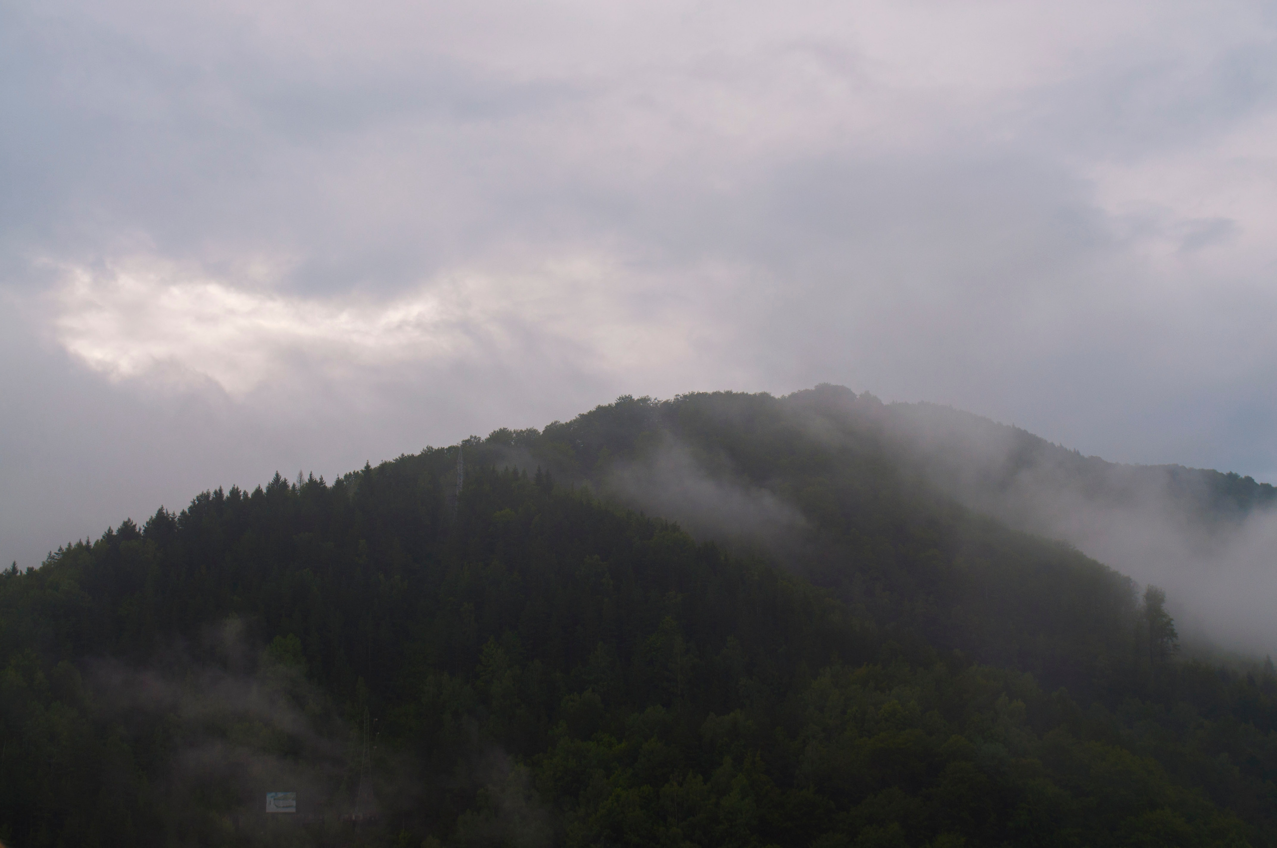 Фотосъемка. Репортажный фотограф Виктория Чорба