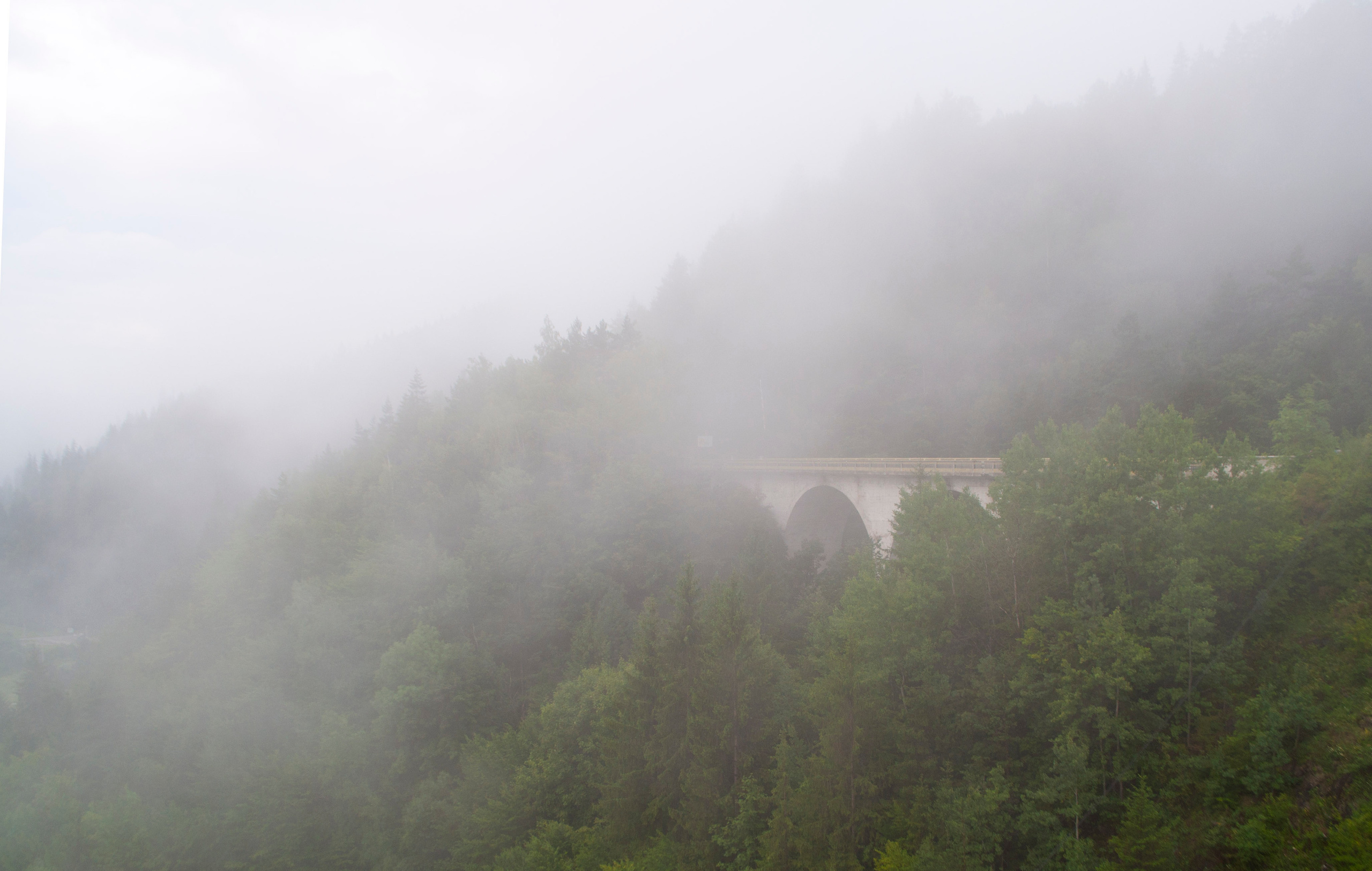 Фотосъемка. Репортажный фотограф Виктория Чорба