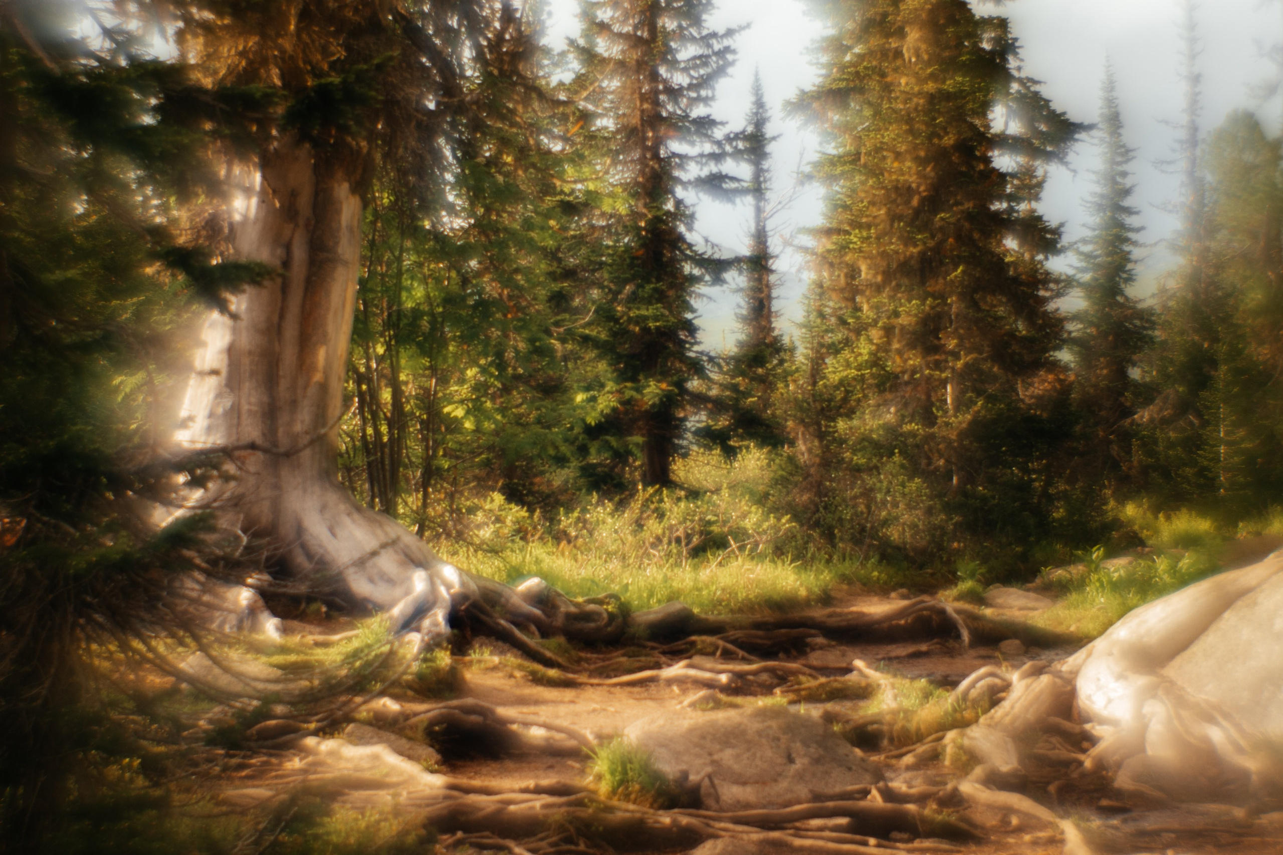 Выставка «К излогам гор душа влекома… Ергаки. Образы. Волошин». Фотограф в Красноярске Оксана Корчагина