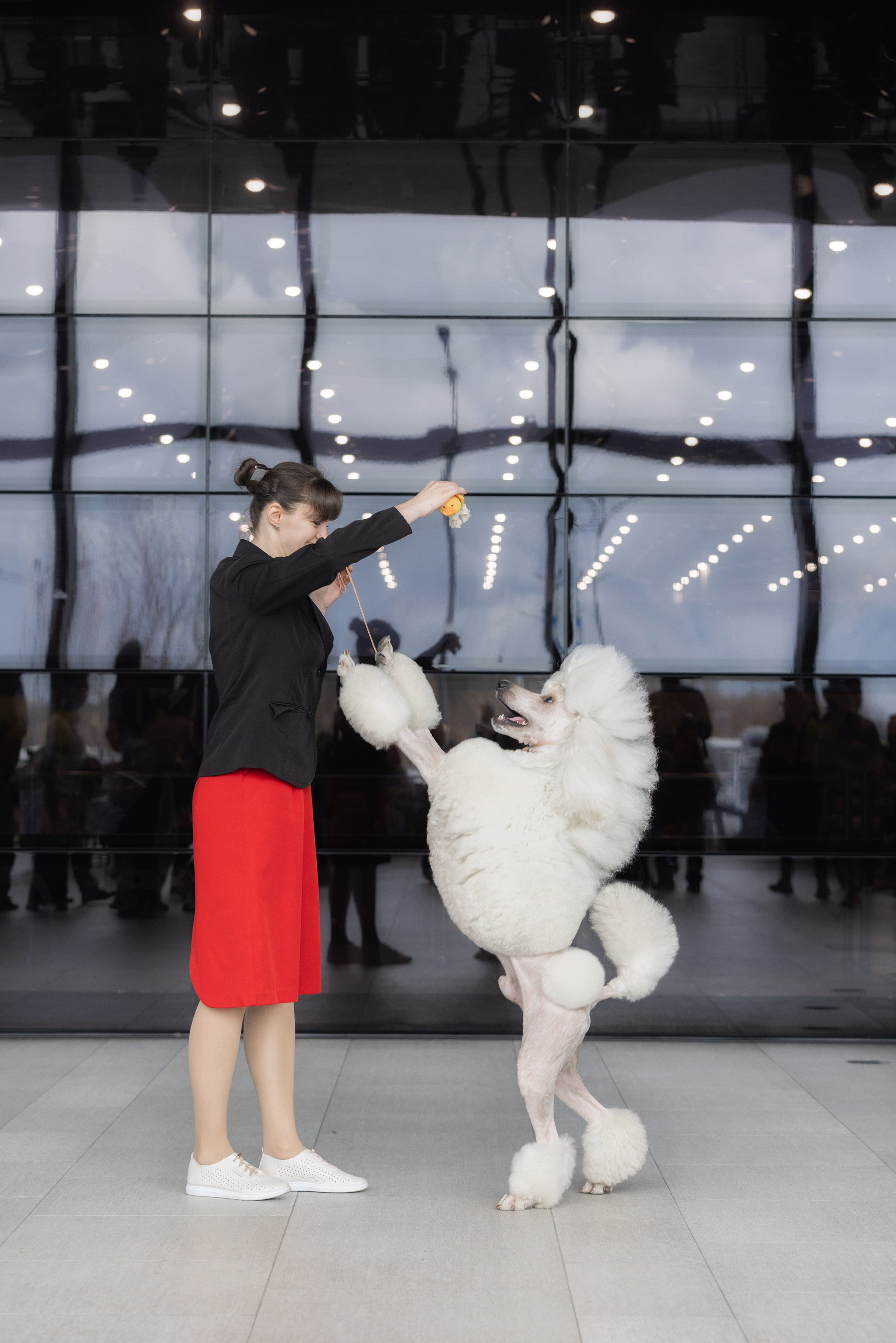 Фотограф Алена Звездина