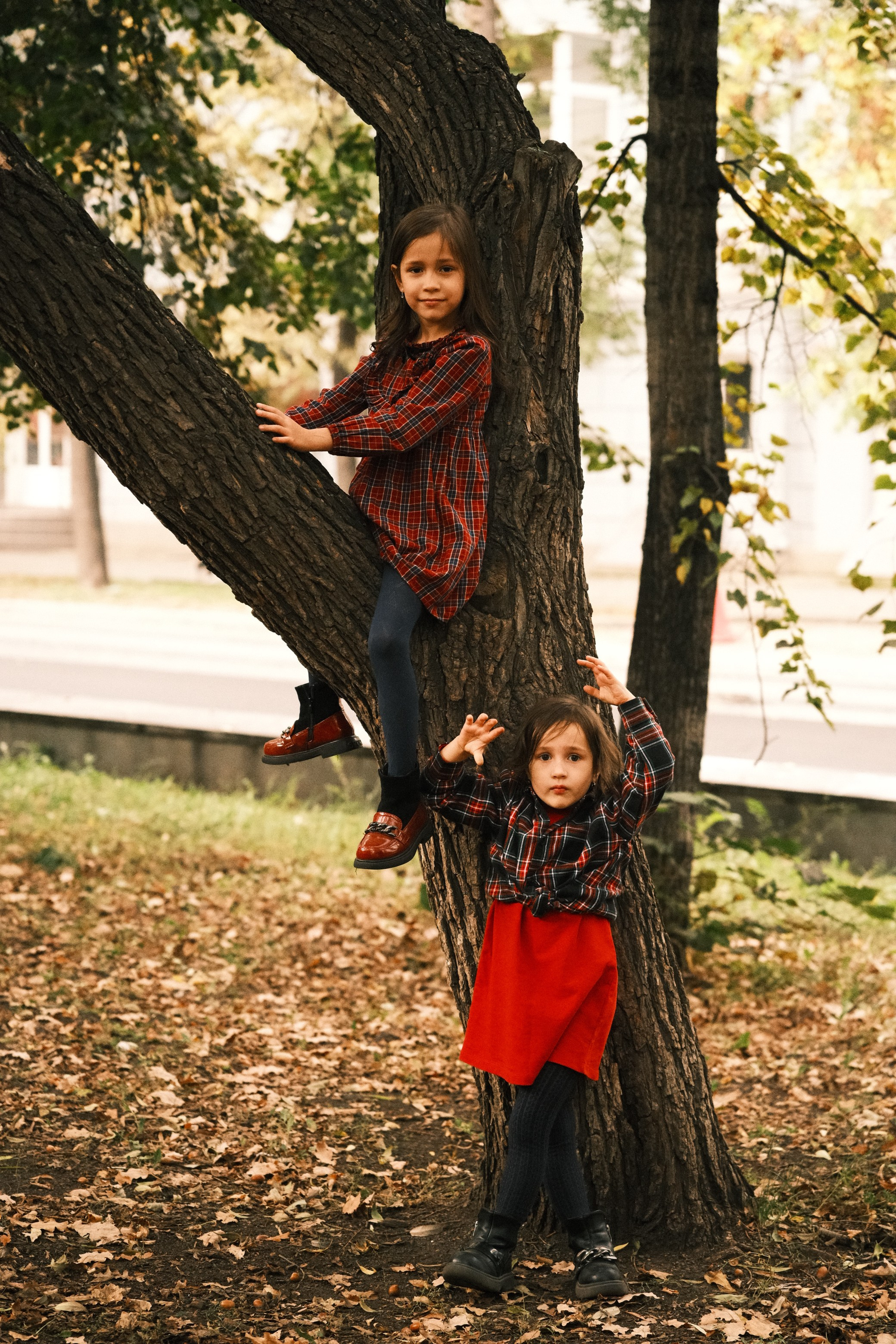 Алина. Свадебный, портретный и детский фотограф в Челябинске