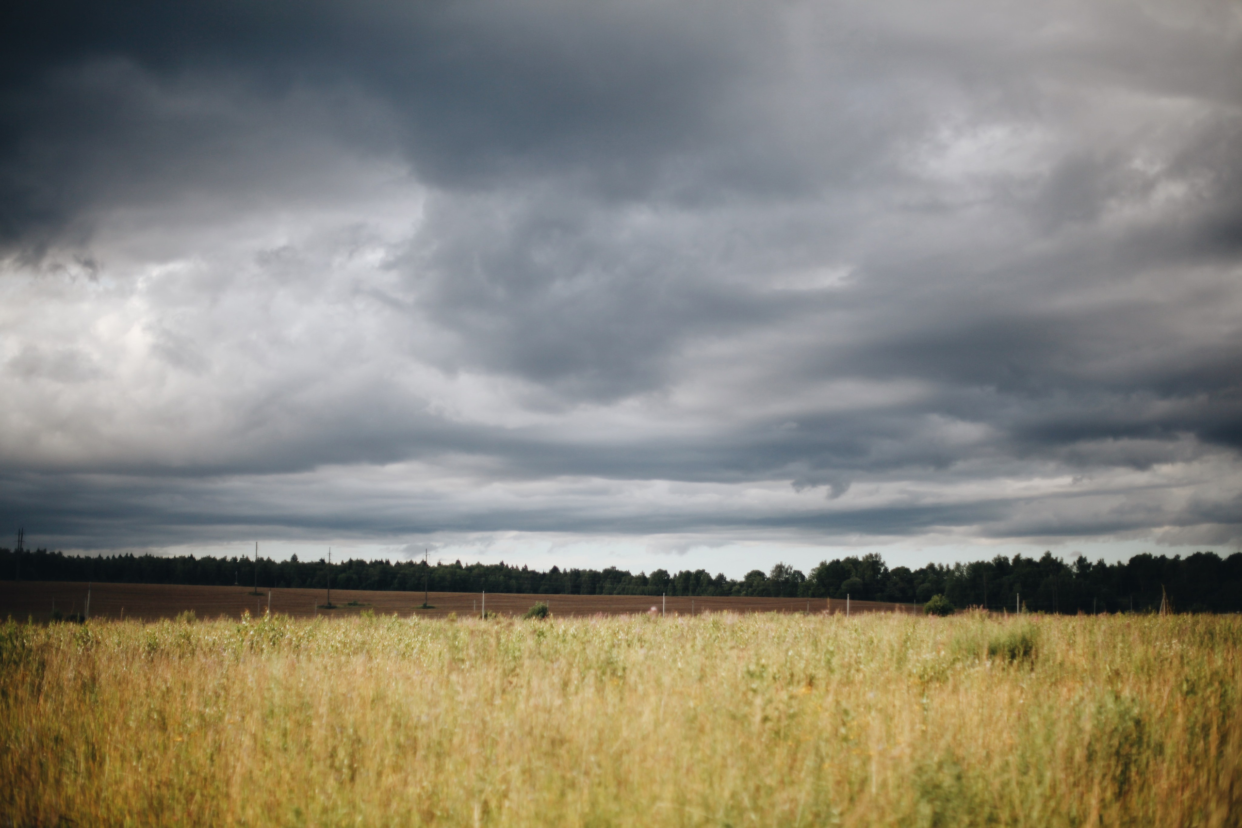 Семейные съемки. Ксения Плотникова