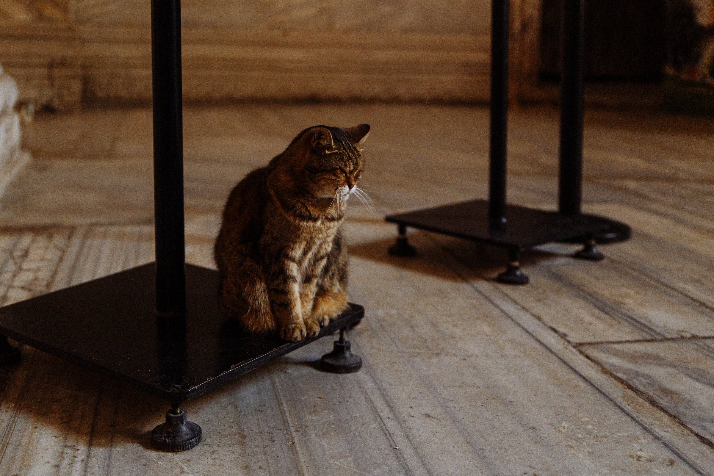Стамбул. Свадебный фотограф в Самаре и Тольятти Полина Никитина