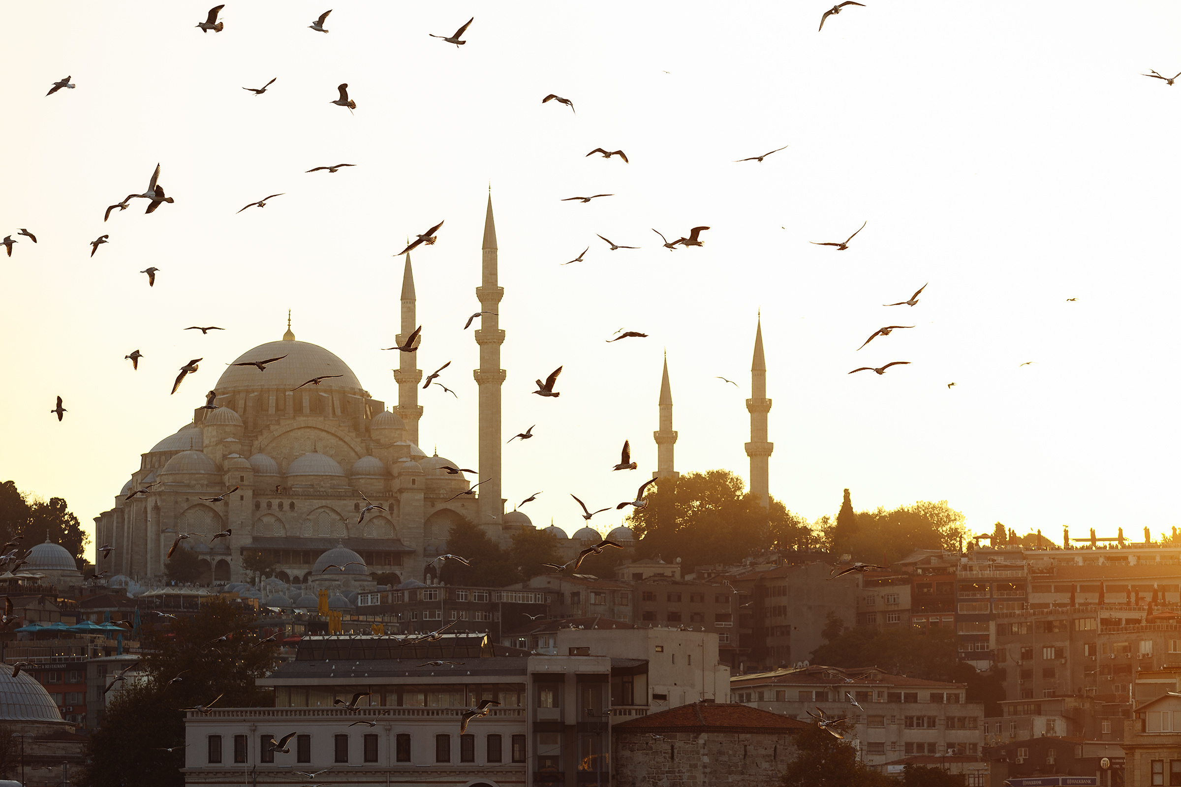 Стамбул. Свадебный фотограф в Самаре и Тольятти Полина Никитина