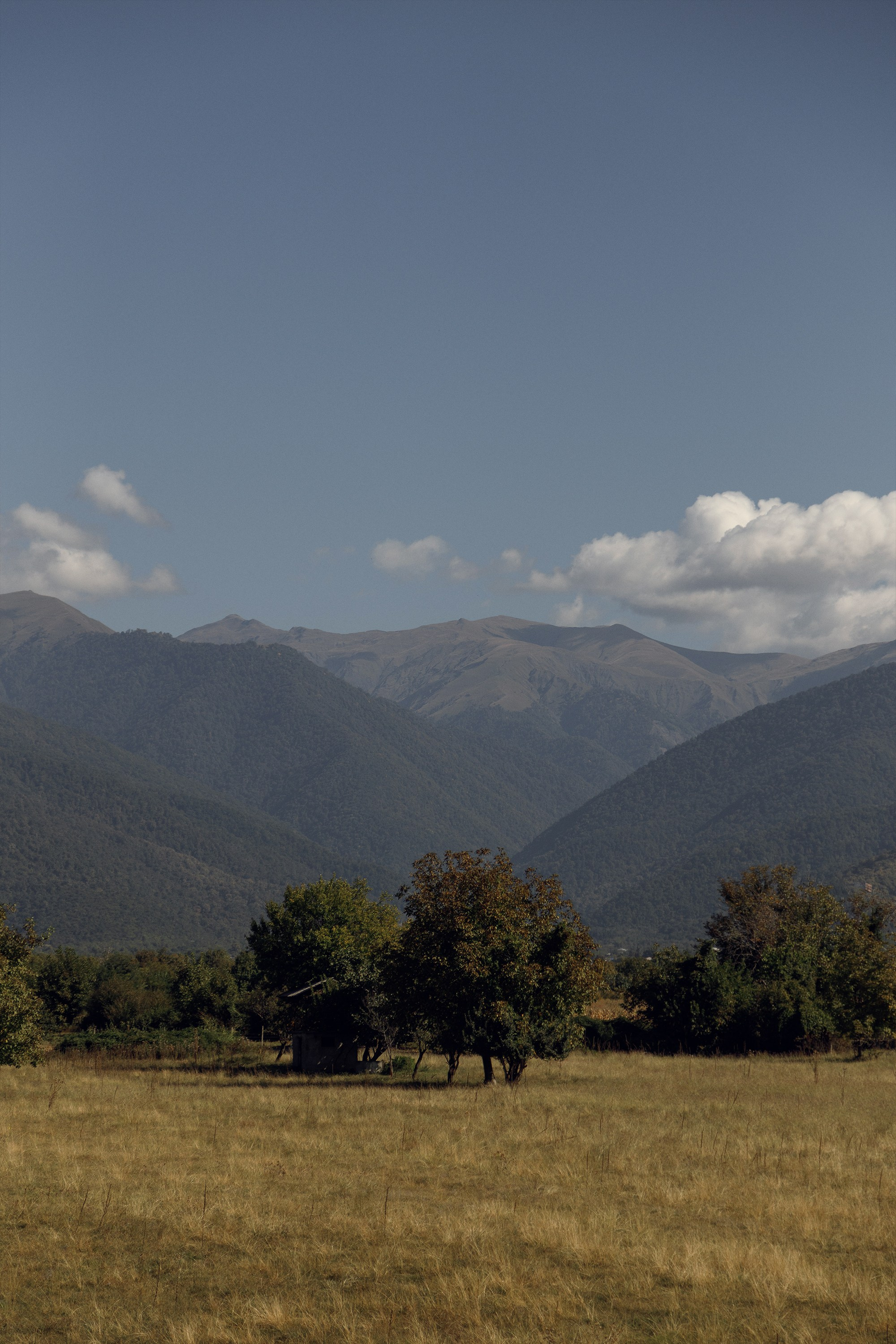 Classic Wedding presets