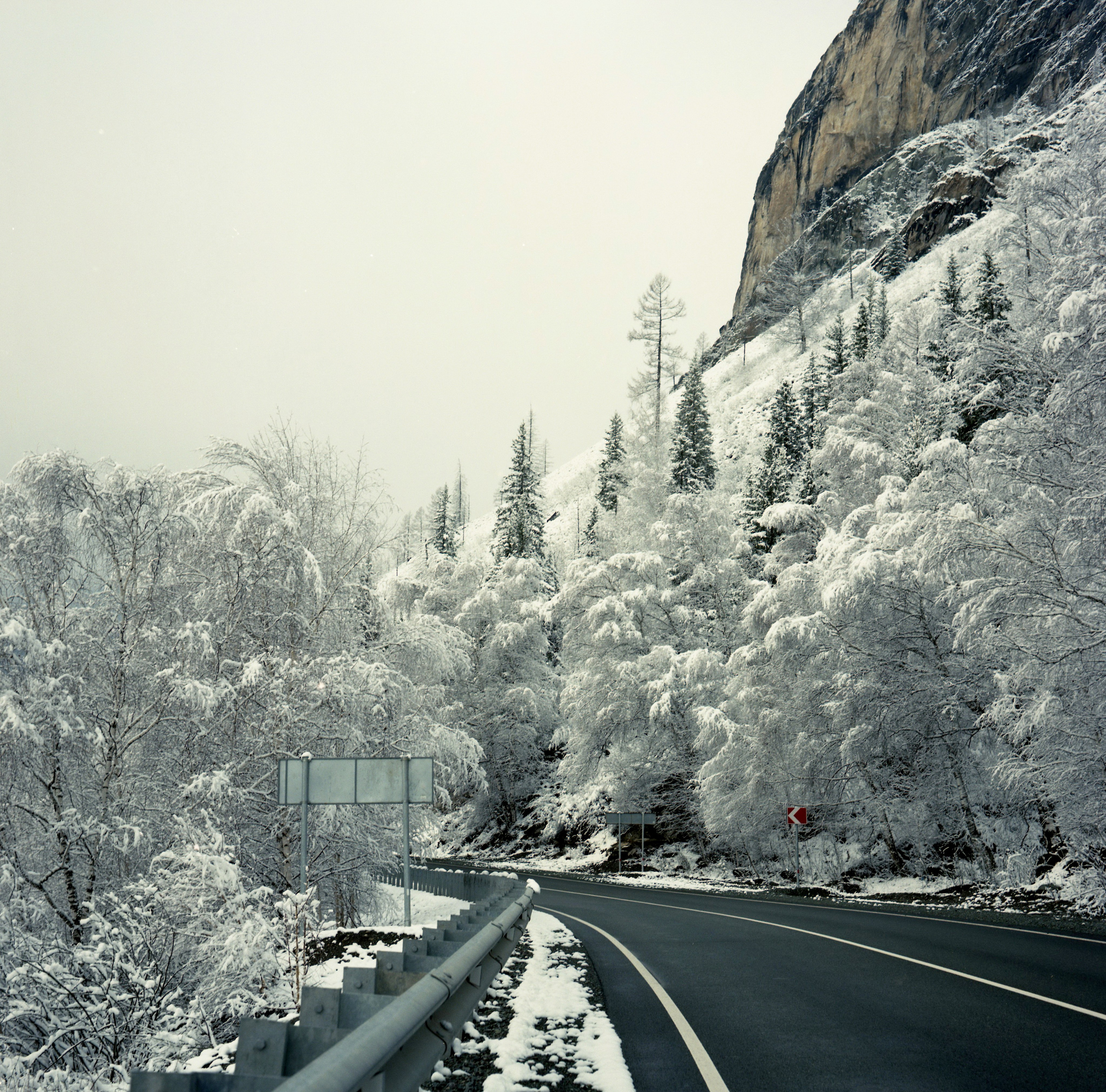 Алтай, Россия. Elena Nikitina. Photo Artist. Film photography. Prints