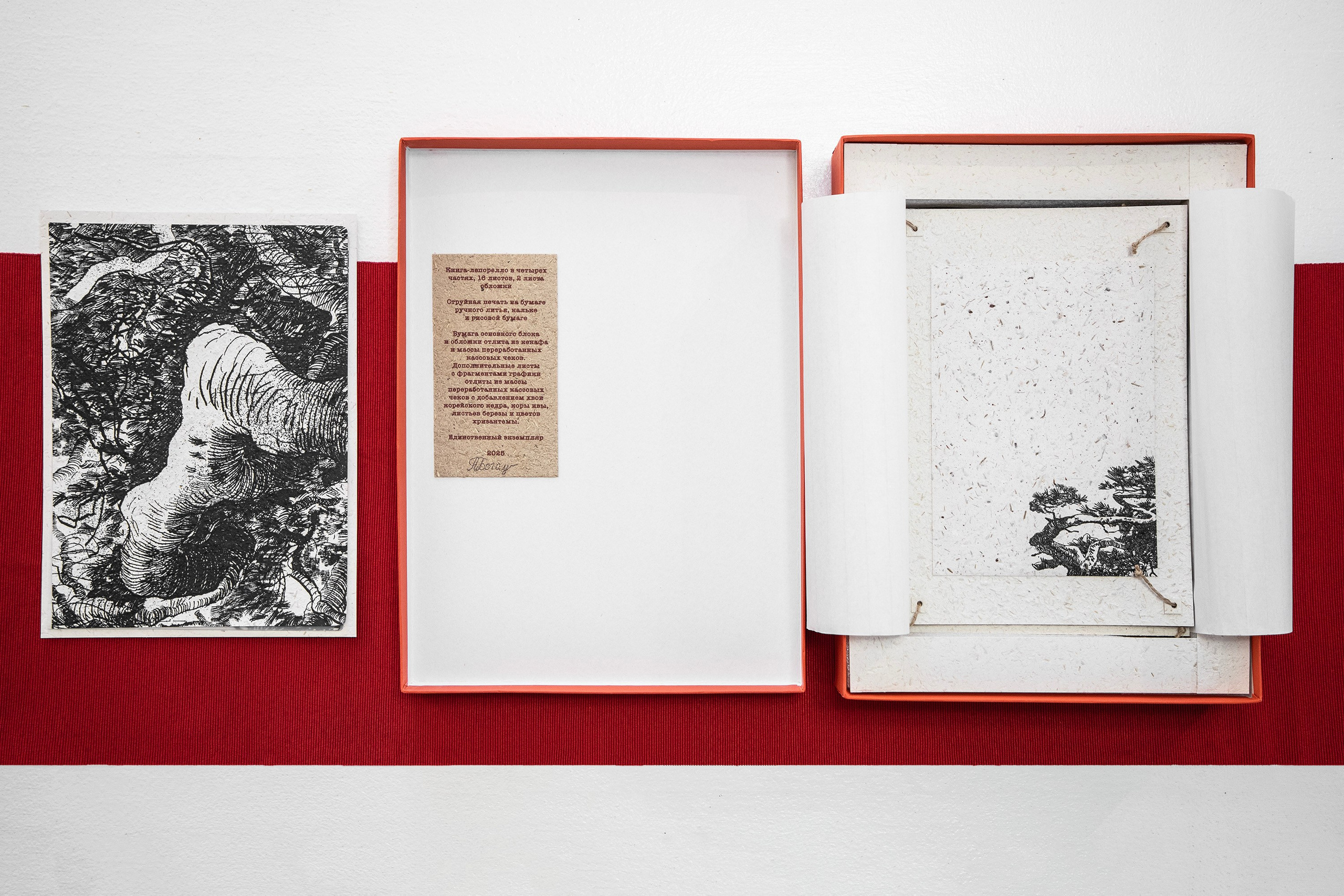 A Collection of Exercises (2023)