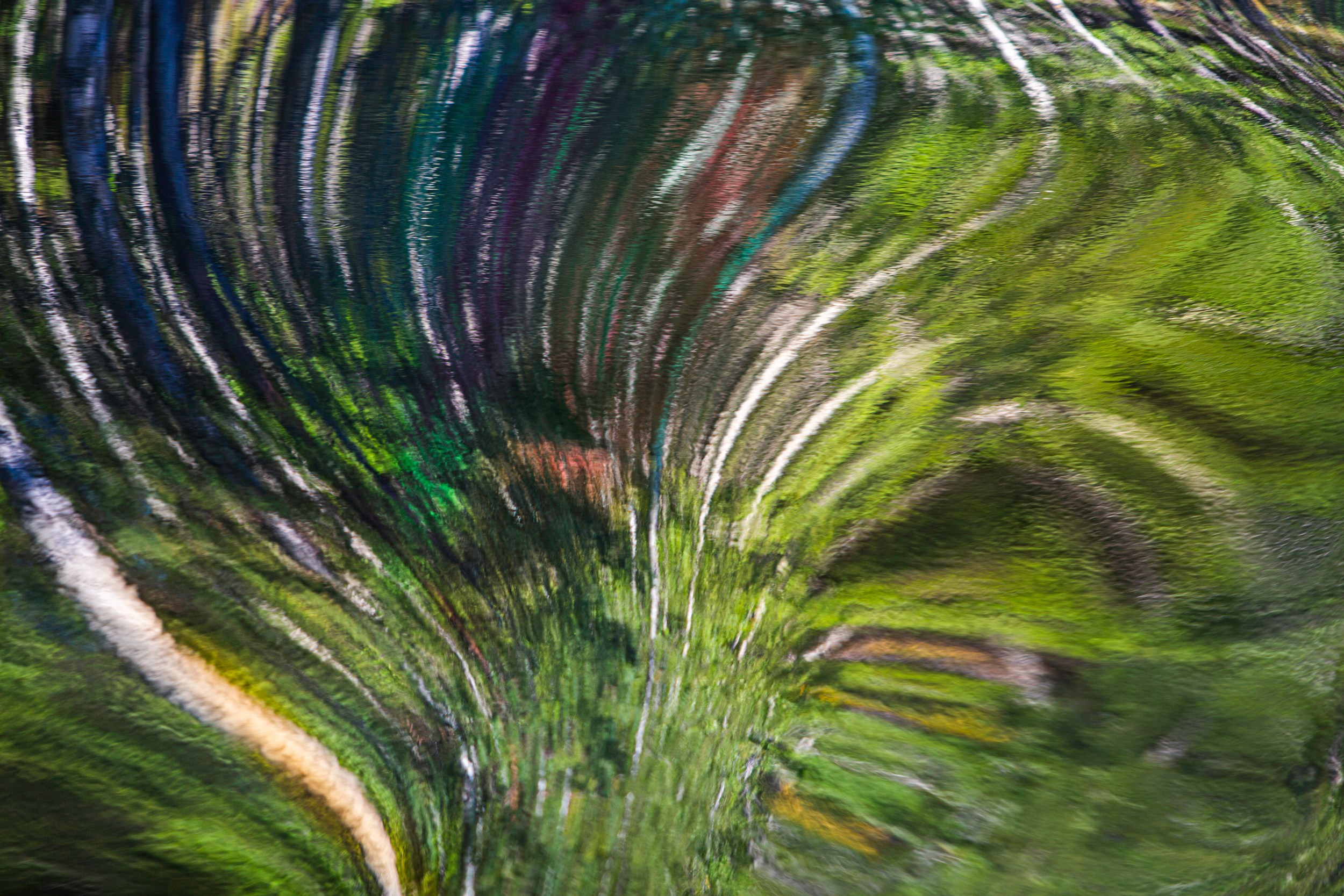 Татьяна Корчагина. Фотограф, художник. Обучение фотографии