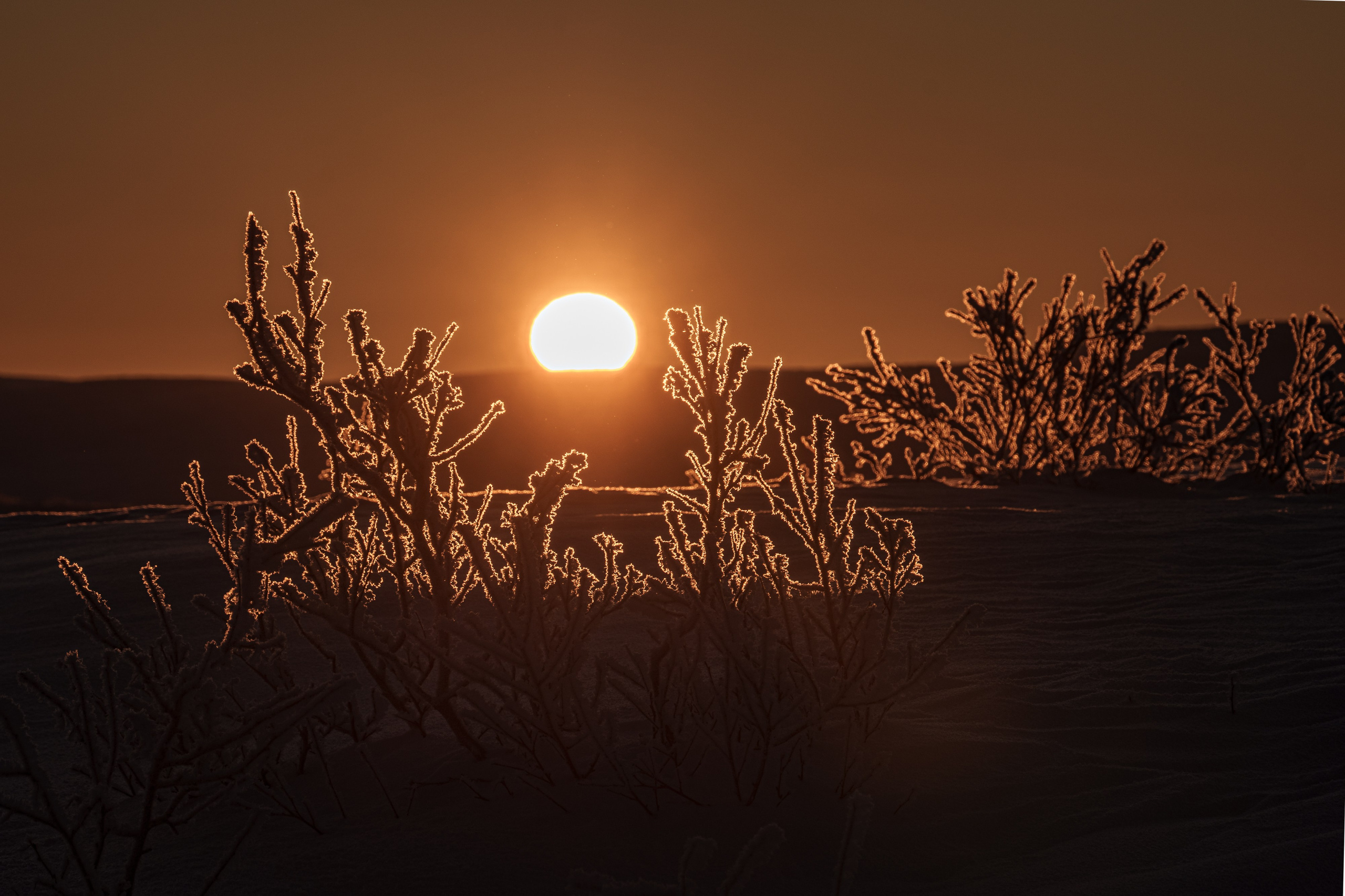 Предзимье на Кольском