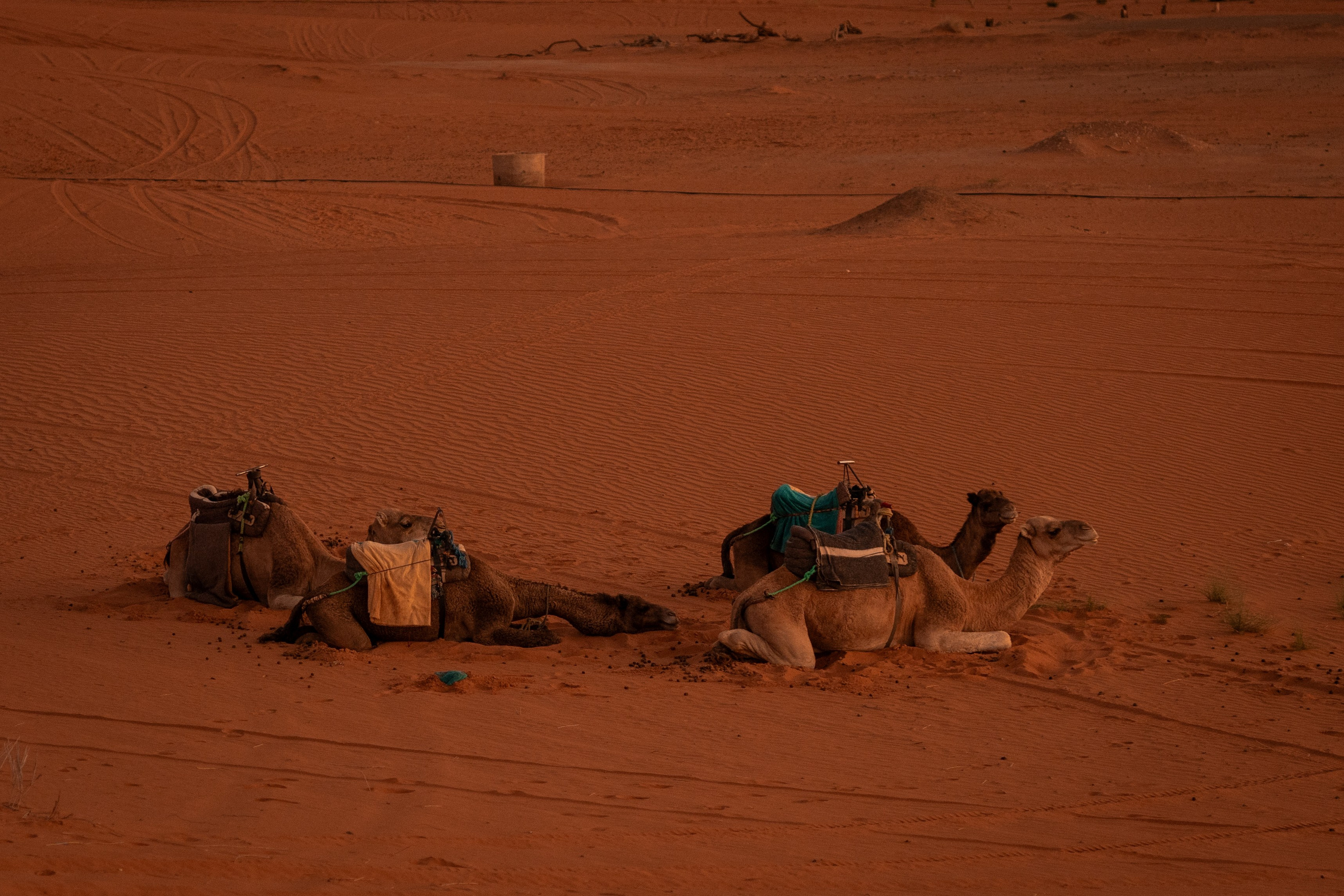 Марокко. Илья Варин — Фотограф Москва, Тверь