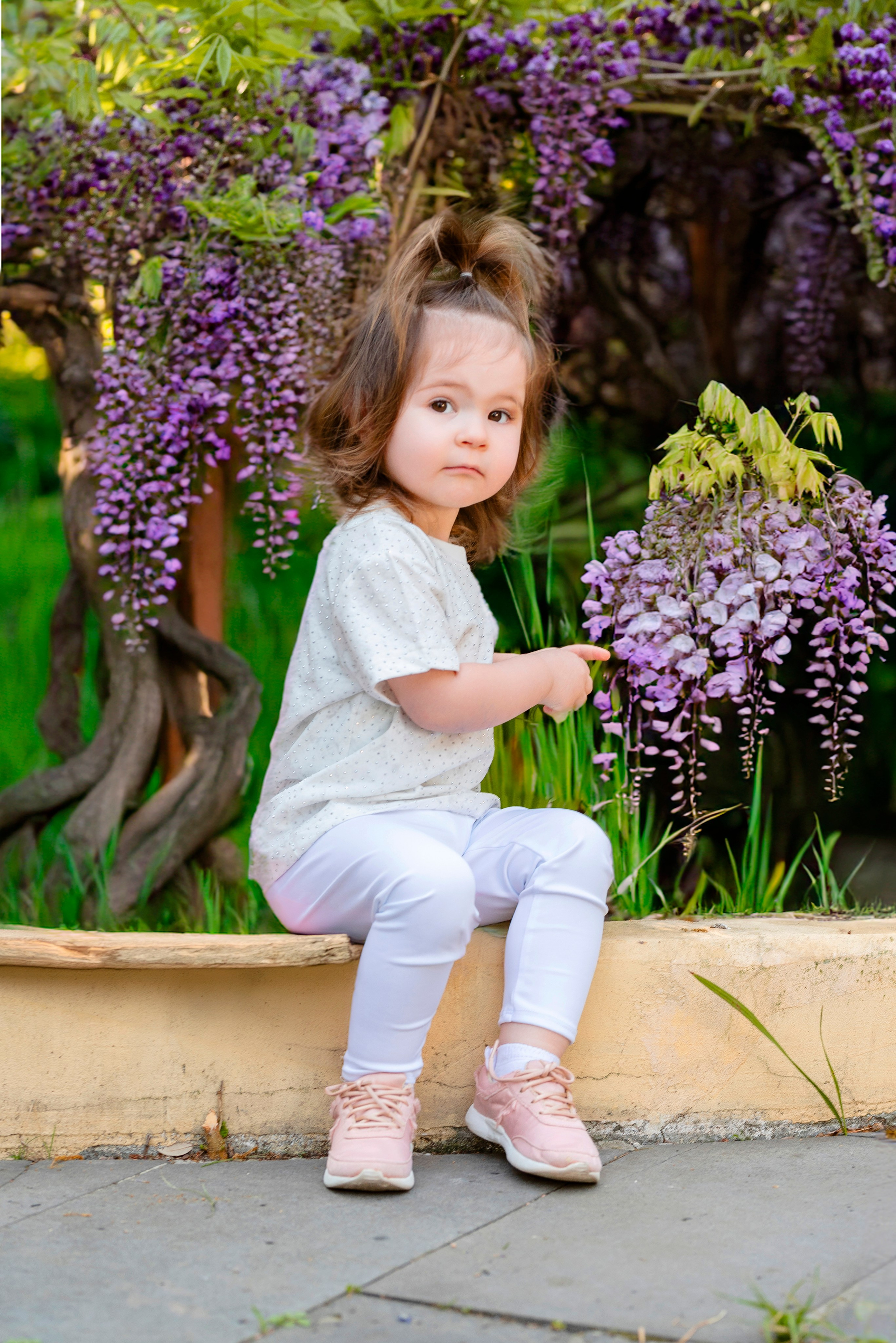 девочки,глициния, фотошоп, искусственный интелект, Дендрарий, Сочи, локация