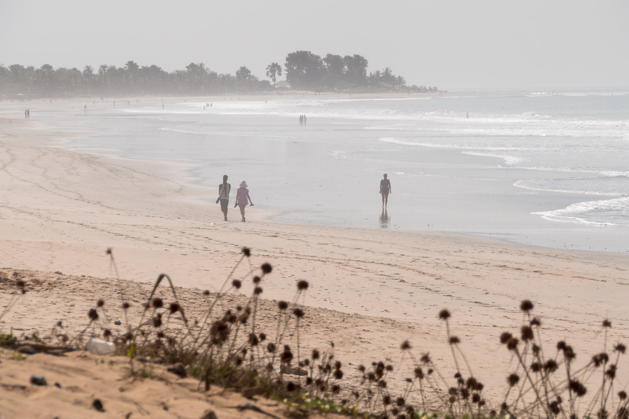 Путешествие по Гамбии (Западная Африка).Traveling in Gambia (West Africa.). Фотограф Алексей Скоробогатько