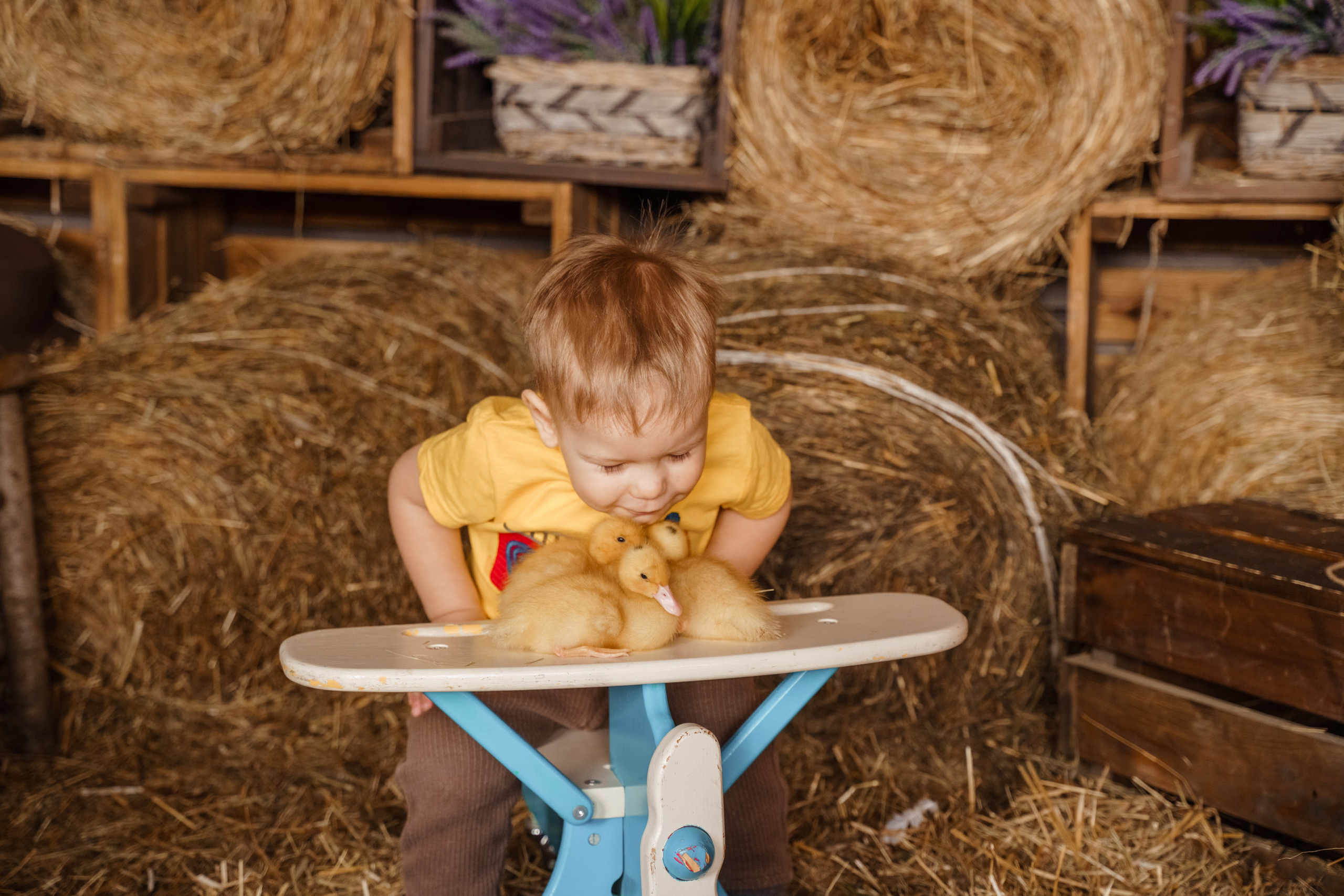 Фотосессия с утятами в студии