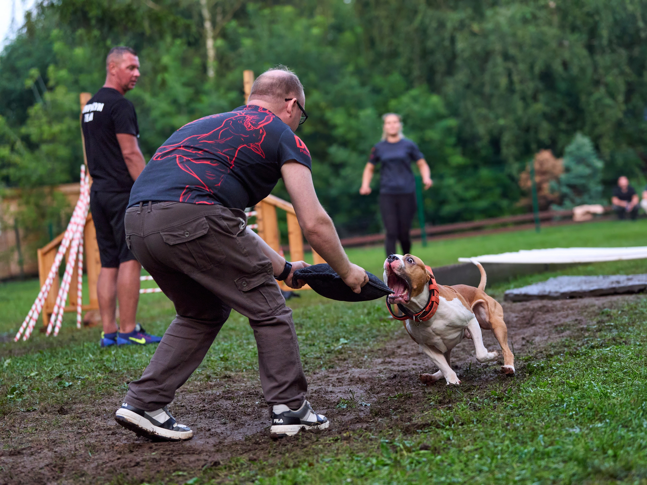 Jump'n'Gym JUMP! — 2024. Фотограф-анималист Михаил Манухин