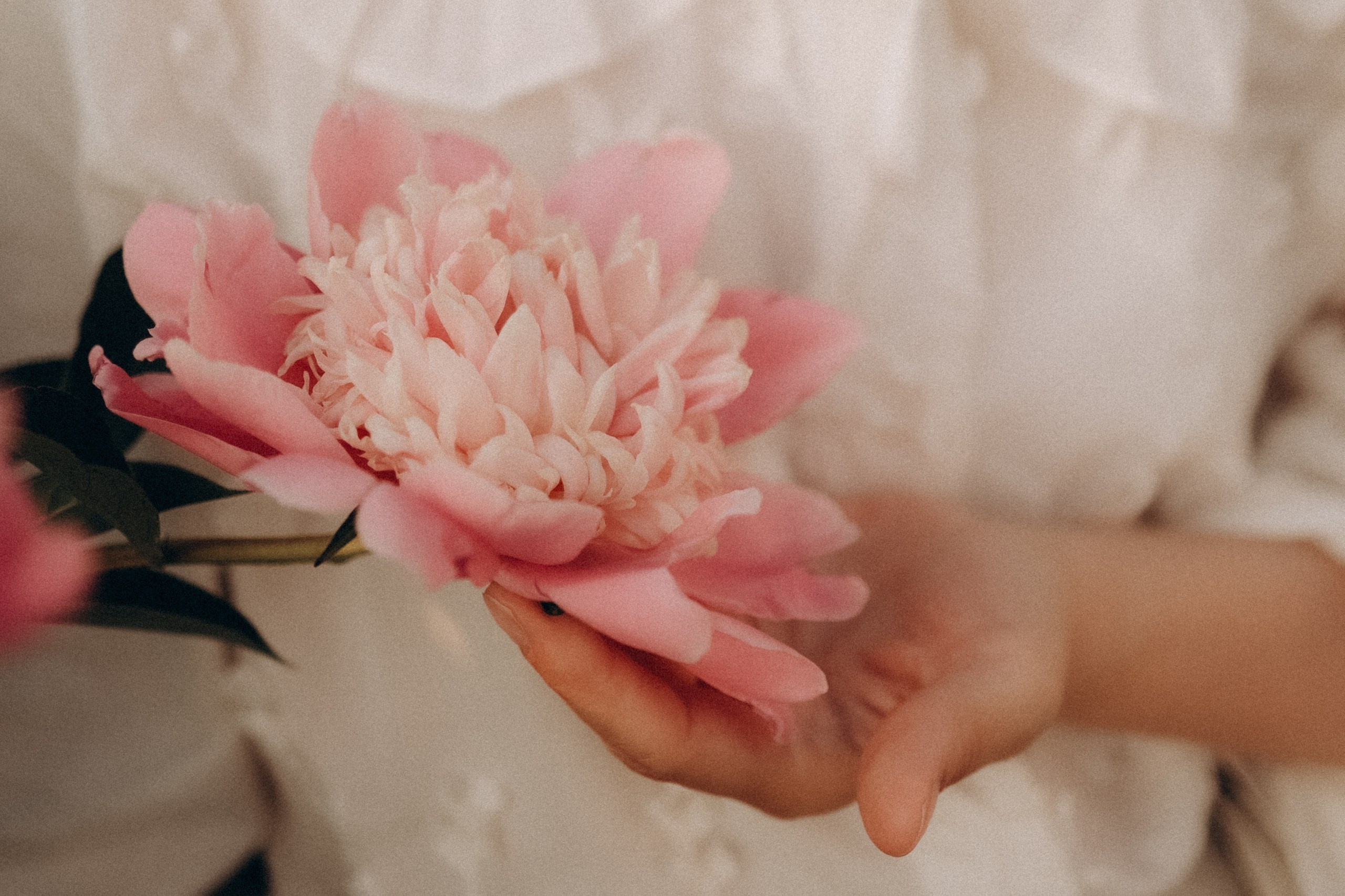 Фотопрогулки по Нижнему Новгороду. Фотограф и видеограф Елена Лисина