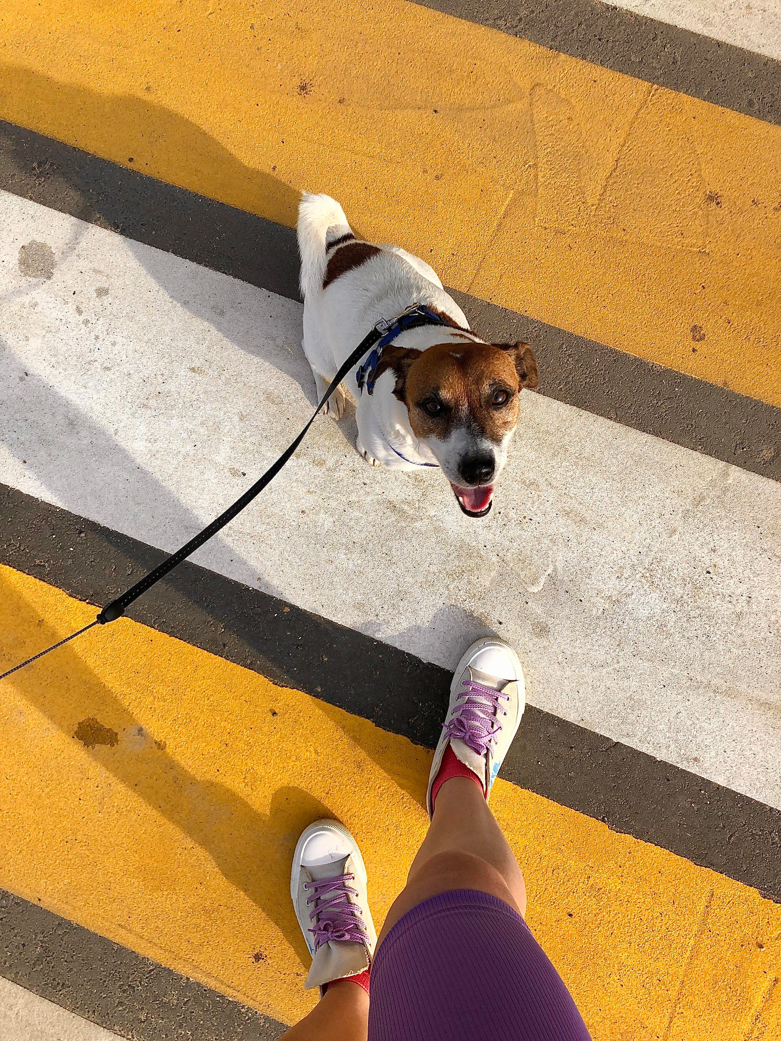 Livejournal. Фотограф в Иваново и других городах Ирина Сметанкина