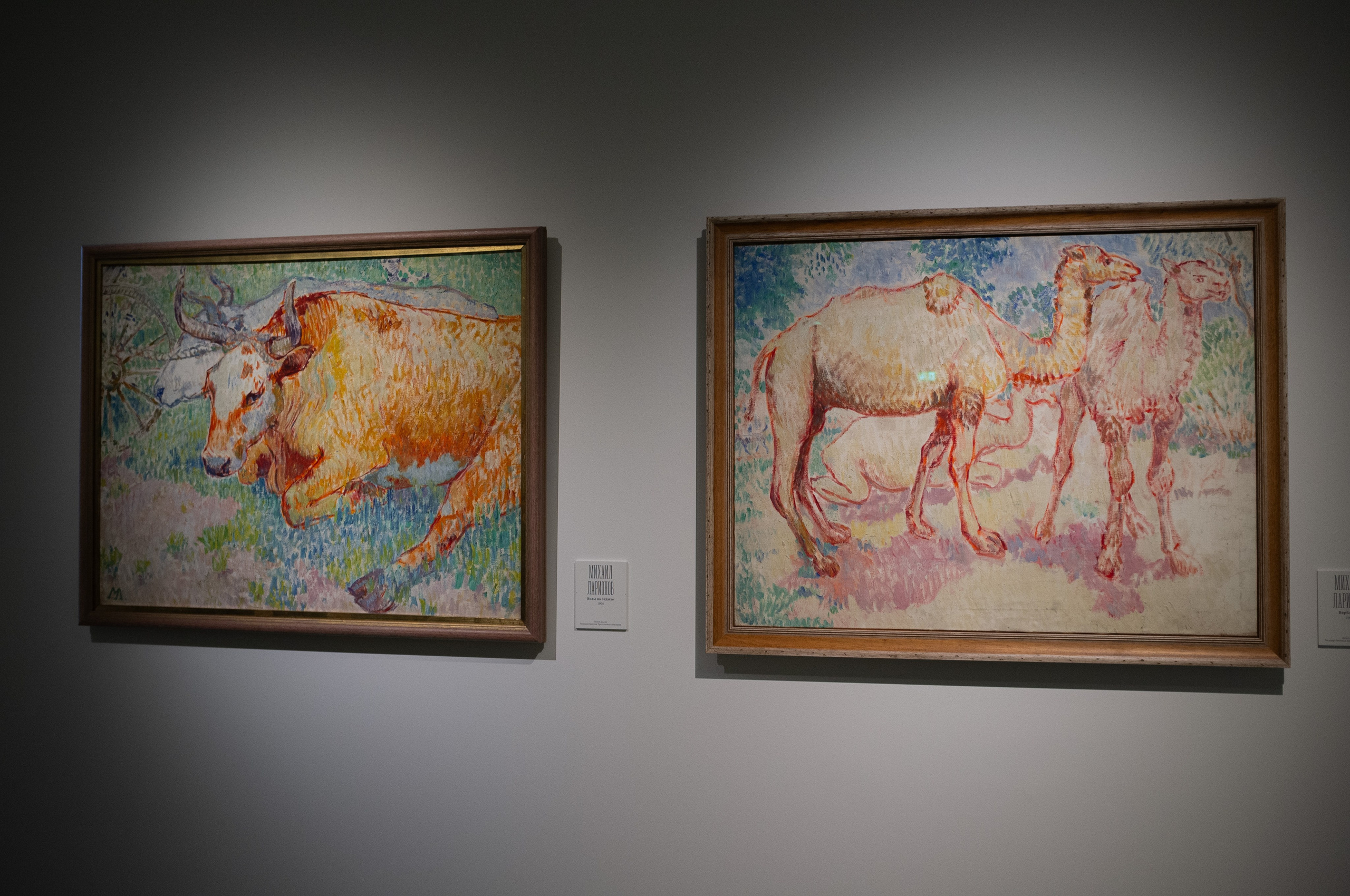 Изображая воздух. Русские мотивы и японизмы. Искусство фотографии. Мария Осокина