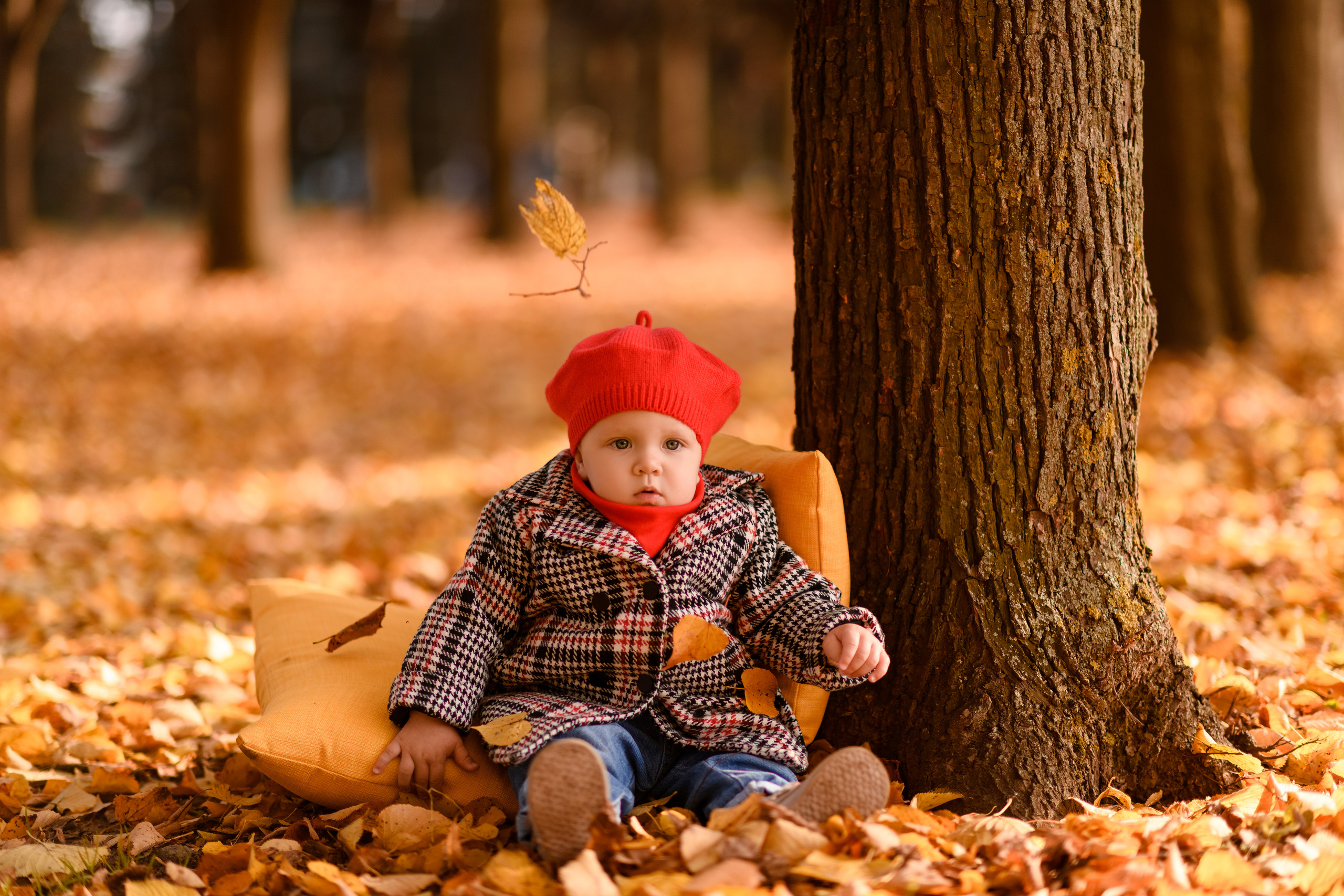 Семейная осенняя фотосессия в парке. Свадебный и семейный фотограф в Санкт-Петербурге Олеся Еремеева