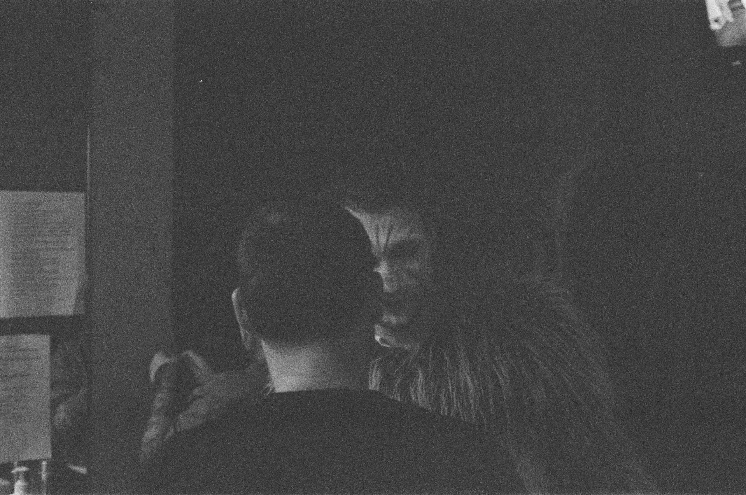 Фотосерия о магии театра и трансформации актёра: грим, костюмы, эмоции и визуальные метаморфозы на пути к сценическому образу. На фото — актёры Театра Стаса Намина и Мастерской Петра Фоменко. Фотограф: Ожерельев Лев