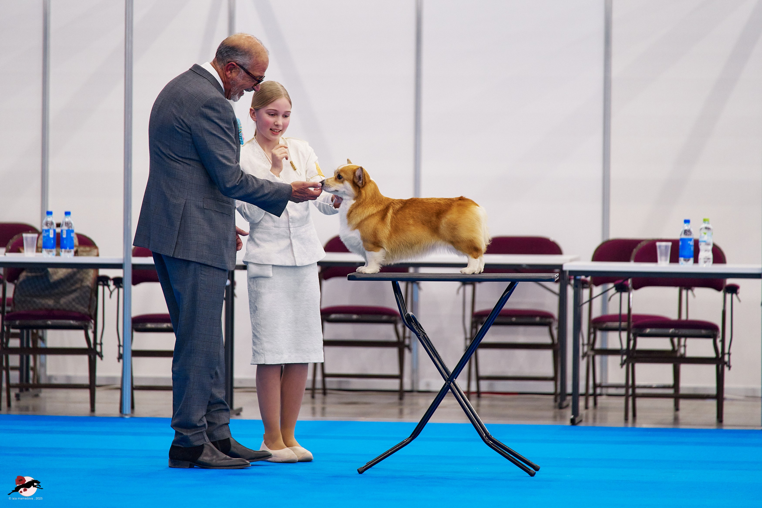 ГРАН ПРИ «ВЕСЕННИЙ ПЕТЕРБУРГ» & «СУПЕР КУБОК «ЭЛИТЫ»-2025»