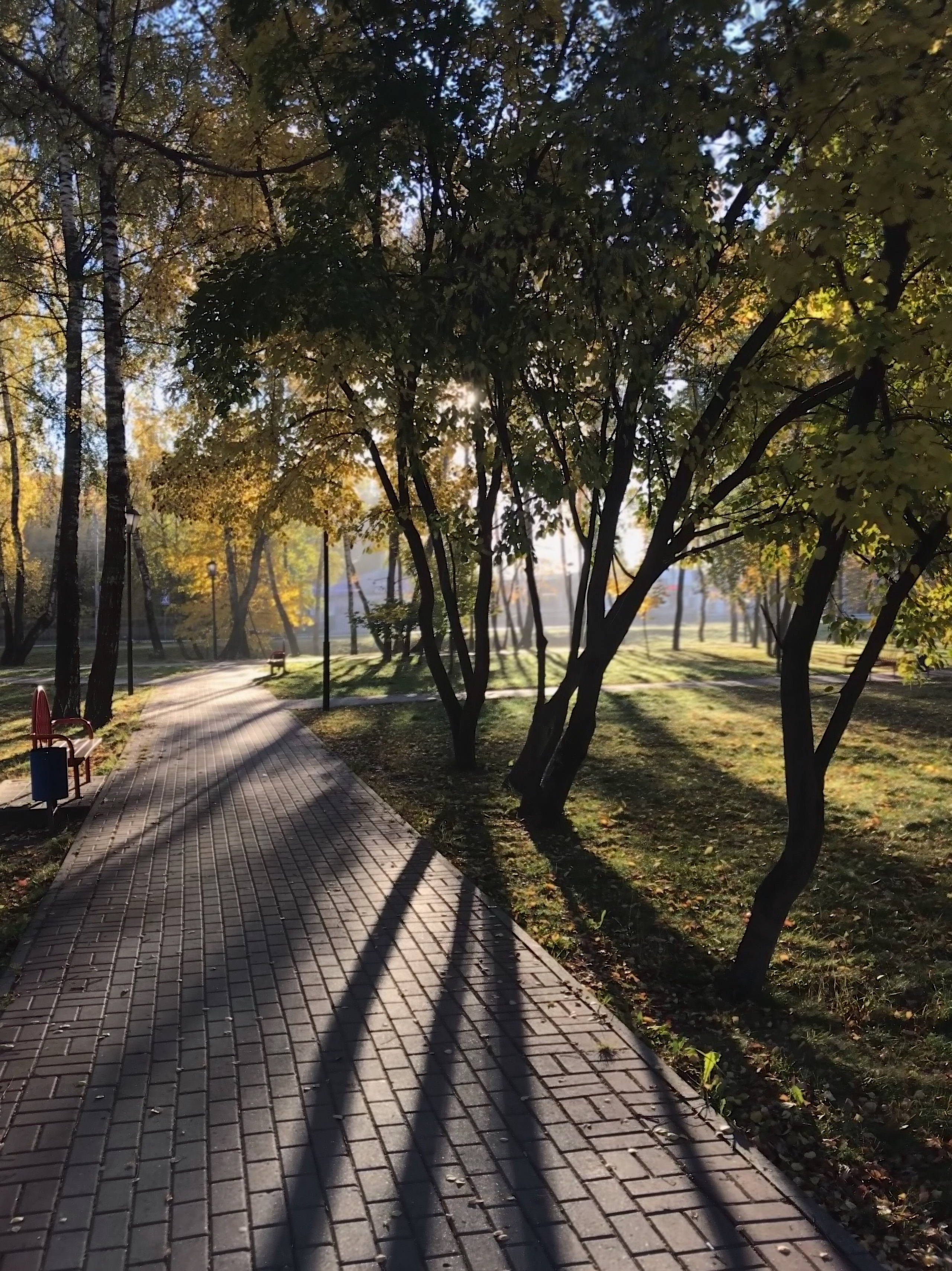 О конкурсе 2021. Калужский городской фотоконкурс