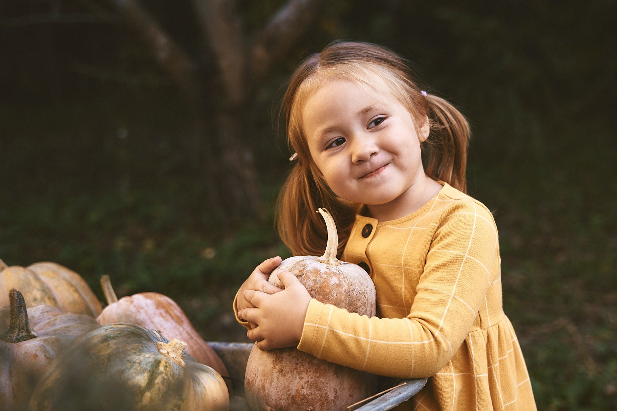 Осенняя фотосессия 2024. Петр Ступень. Свадебное, семейное фото и видео. Москва. Краснодар
