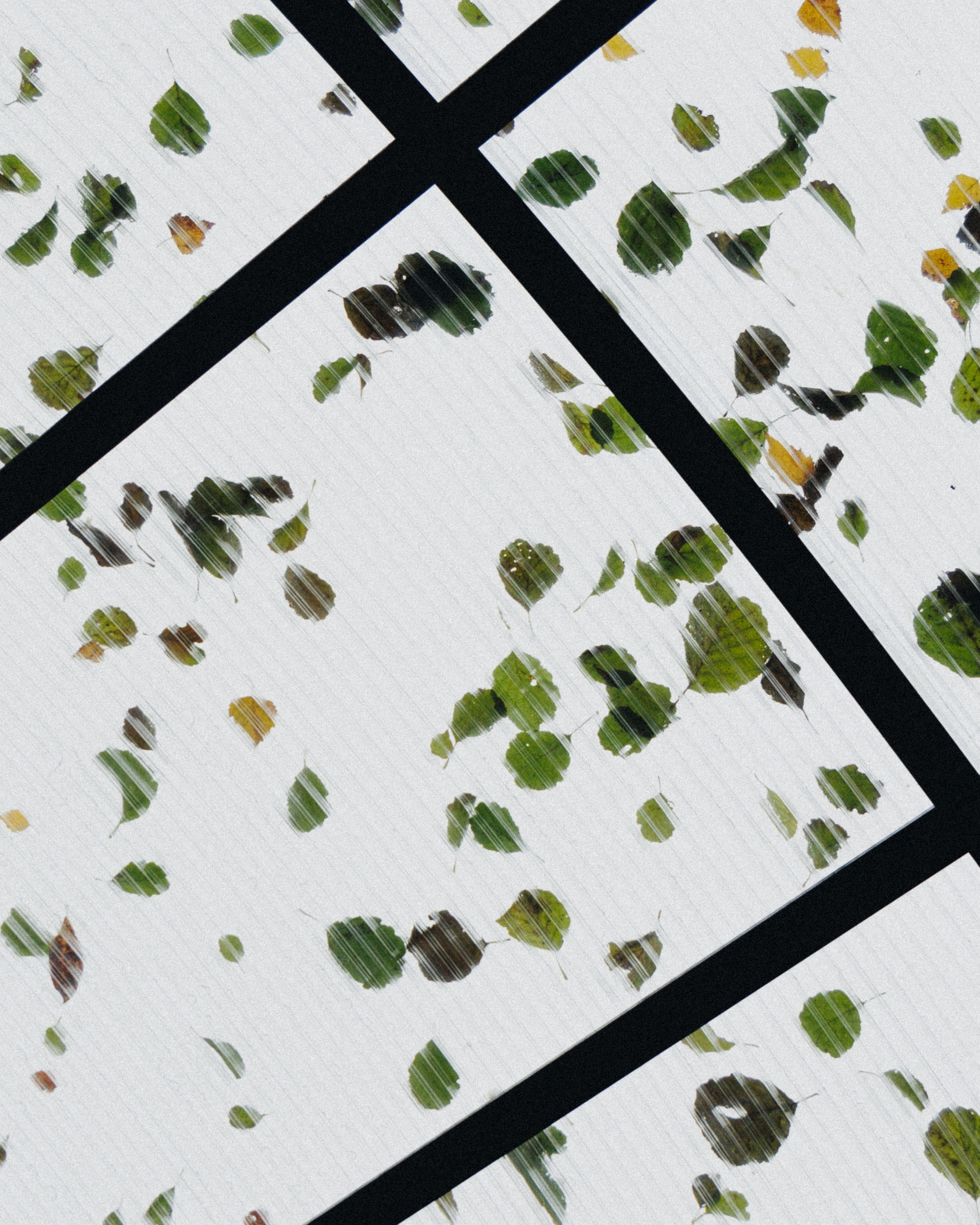 О том, как мы исследовали земли Залесские. Главная