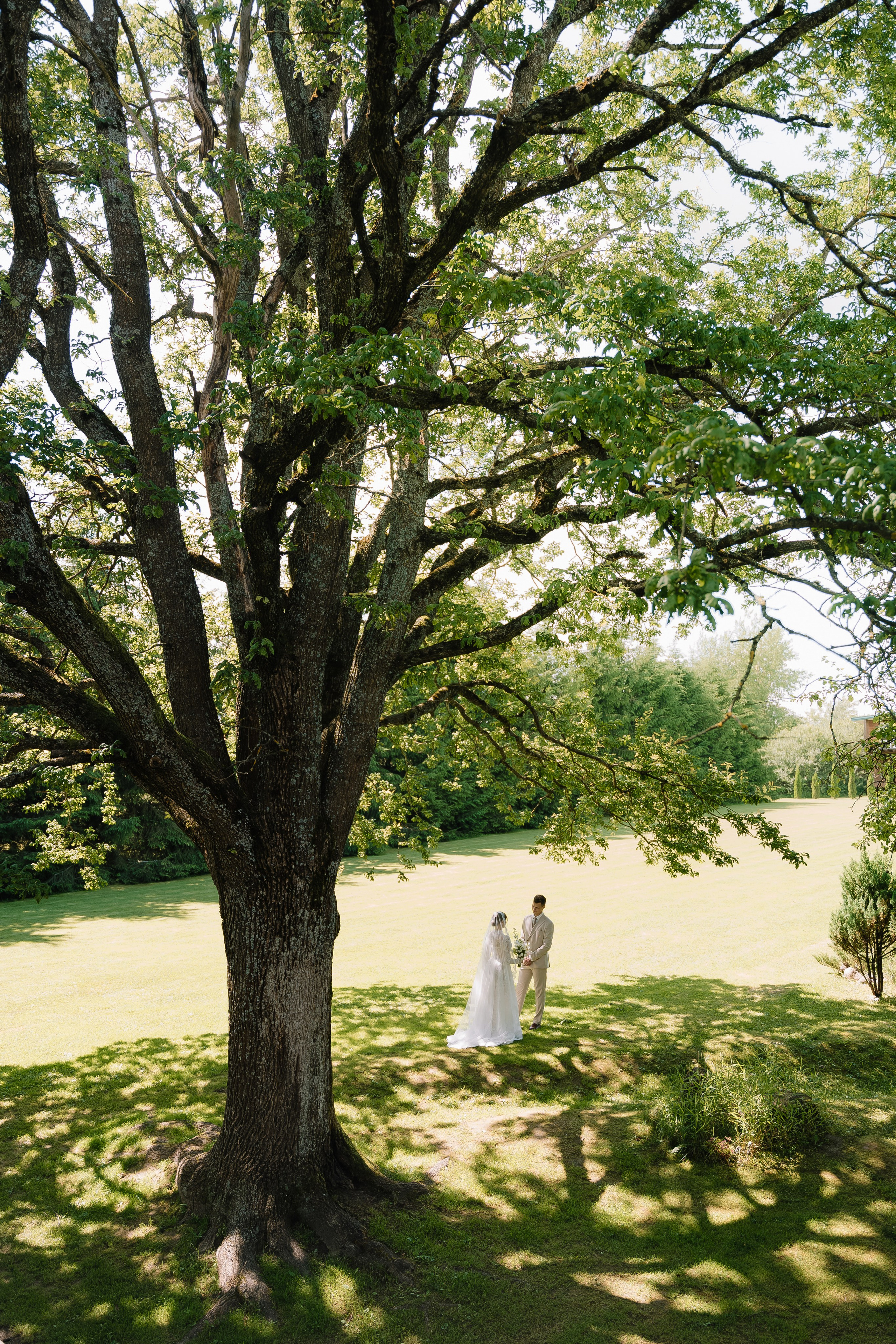 Новая глава кривой. Свадебный Фотограф Минск || Фото и Видеосъёмка Минск || Другие города