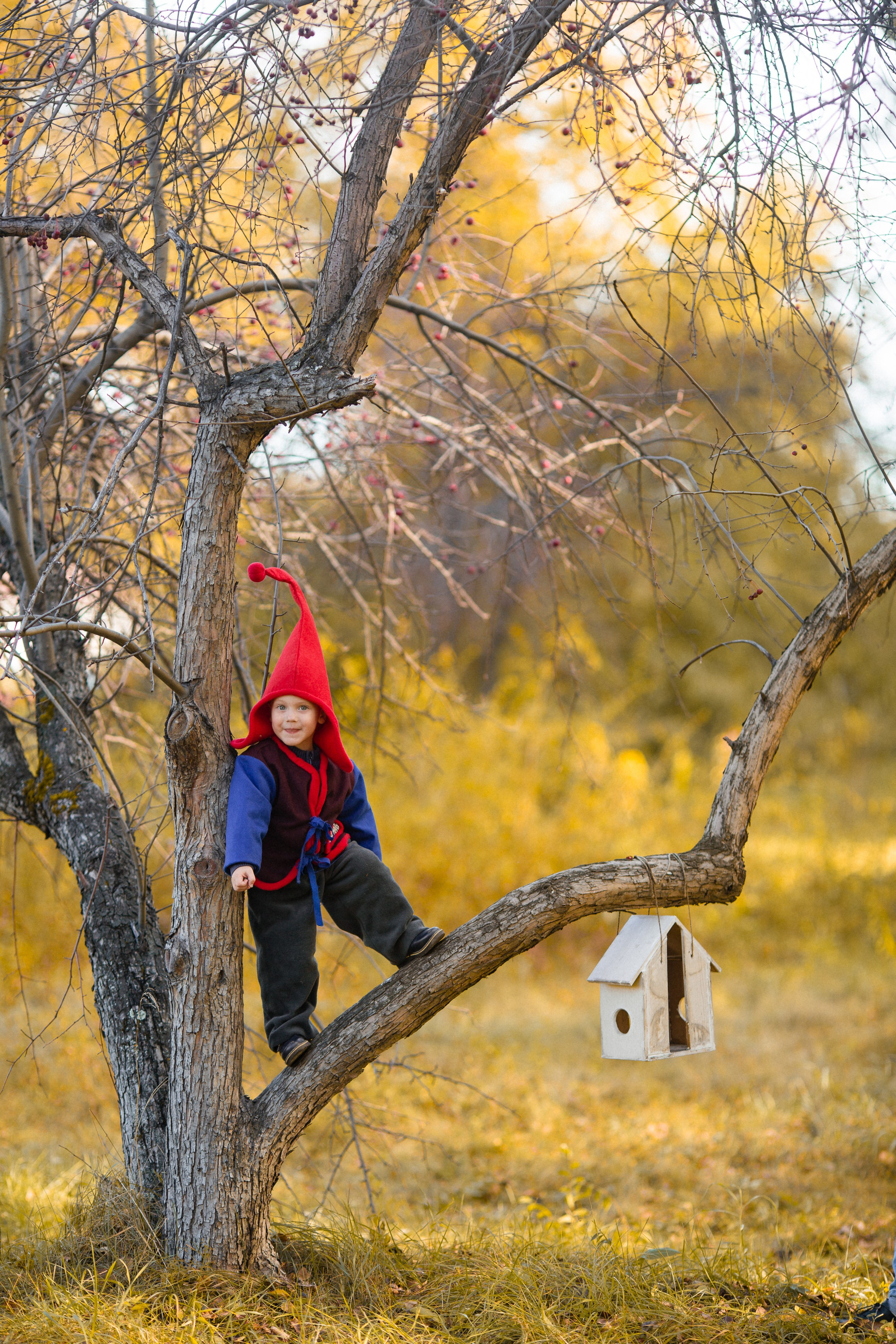 Лесные гномы