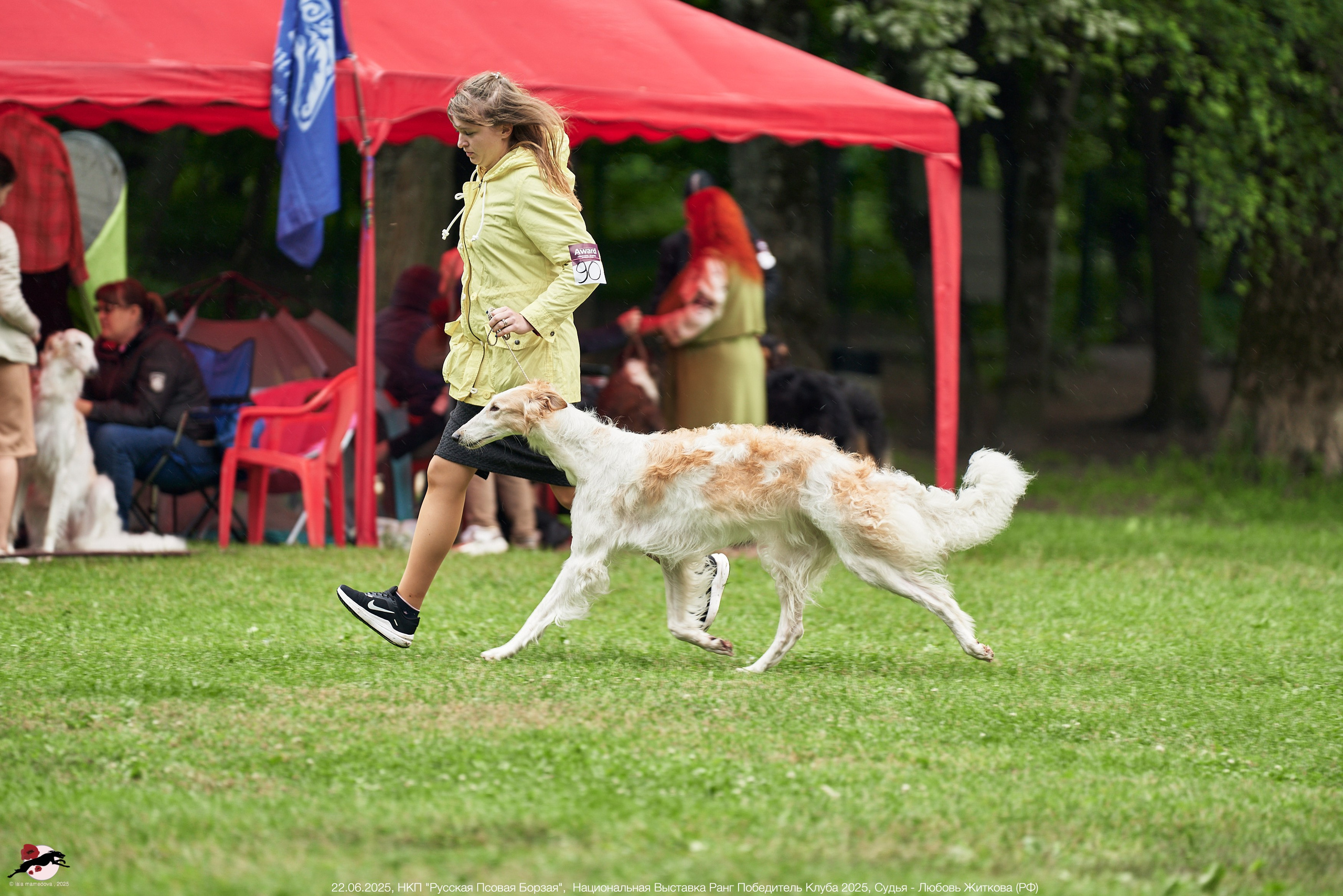 22.06.2025 | Национальная Выставка НКП "Русская Псовая Борзая"