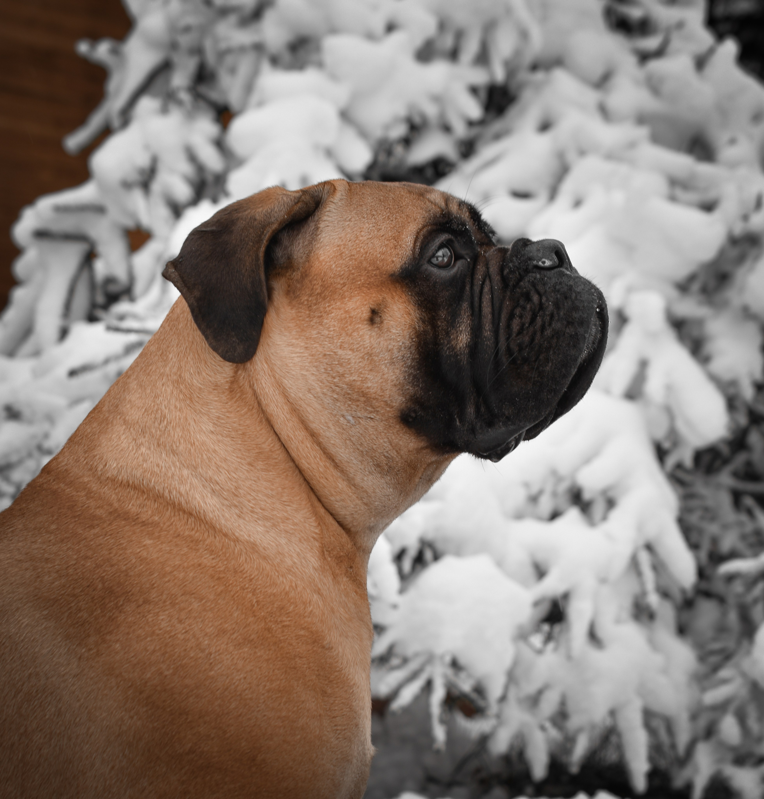 В созвучии с природой. Фотограф Светлана В. Пронина, Москва