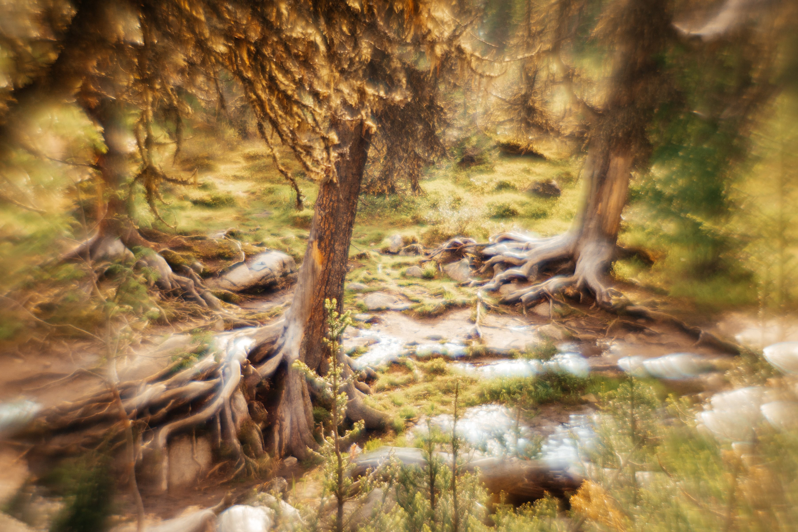 Выставка «К излогам гор душа влекома… Ергаки. Образы. Волошин». Фотограф в Красноярске Оксана Корчагина