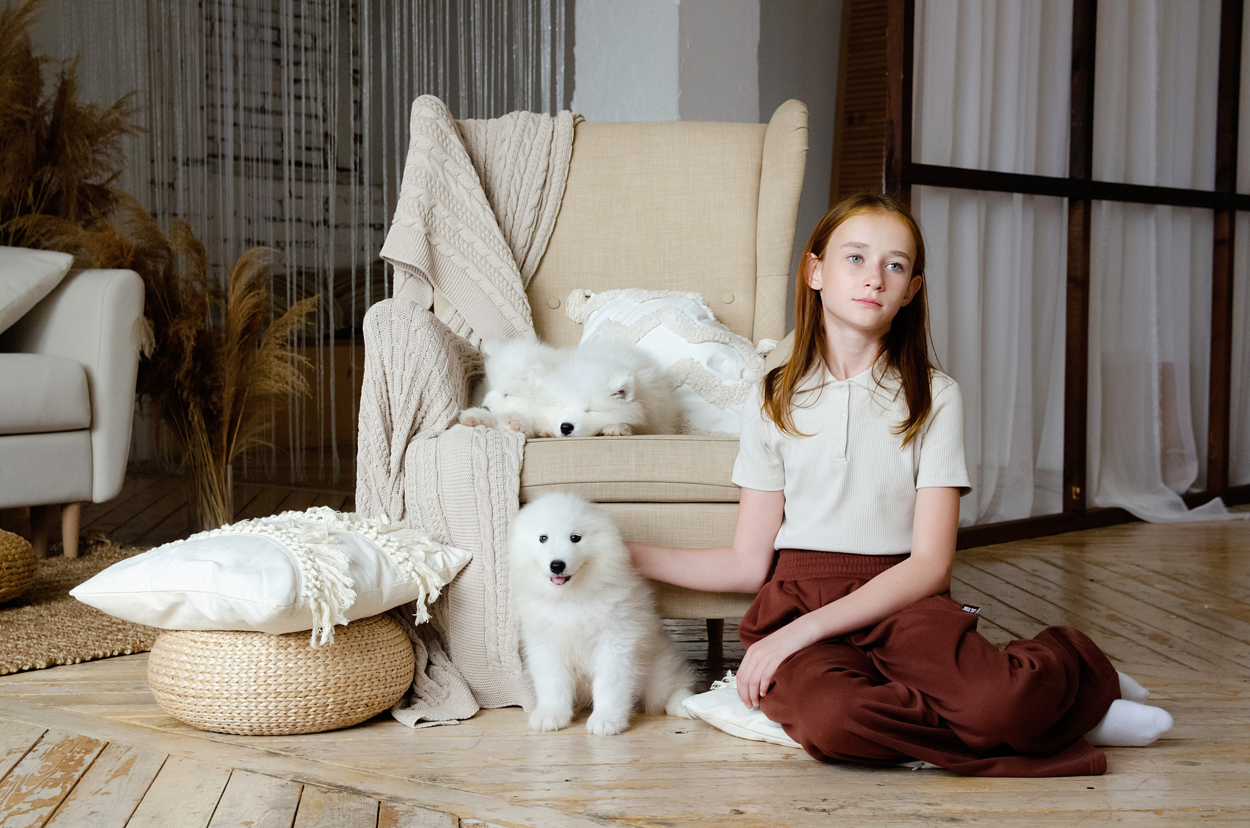 Фотосессия с щенками. Фотограф в Хабаровске