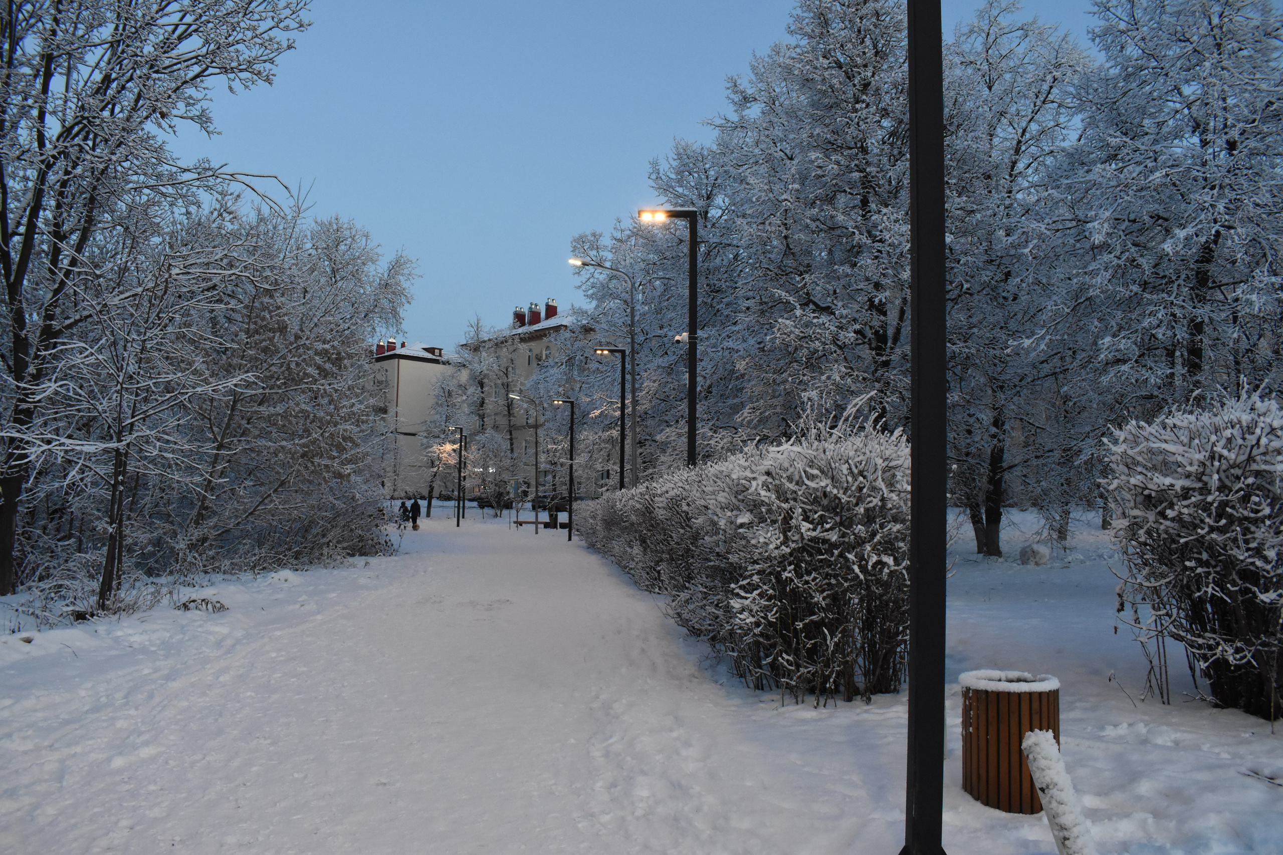 Последняя зимняя прогулка по городу в 2024 году. Фотограф Анатолий Мелентьев
