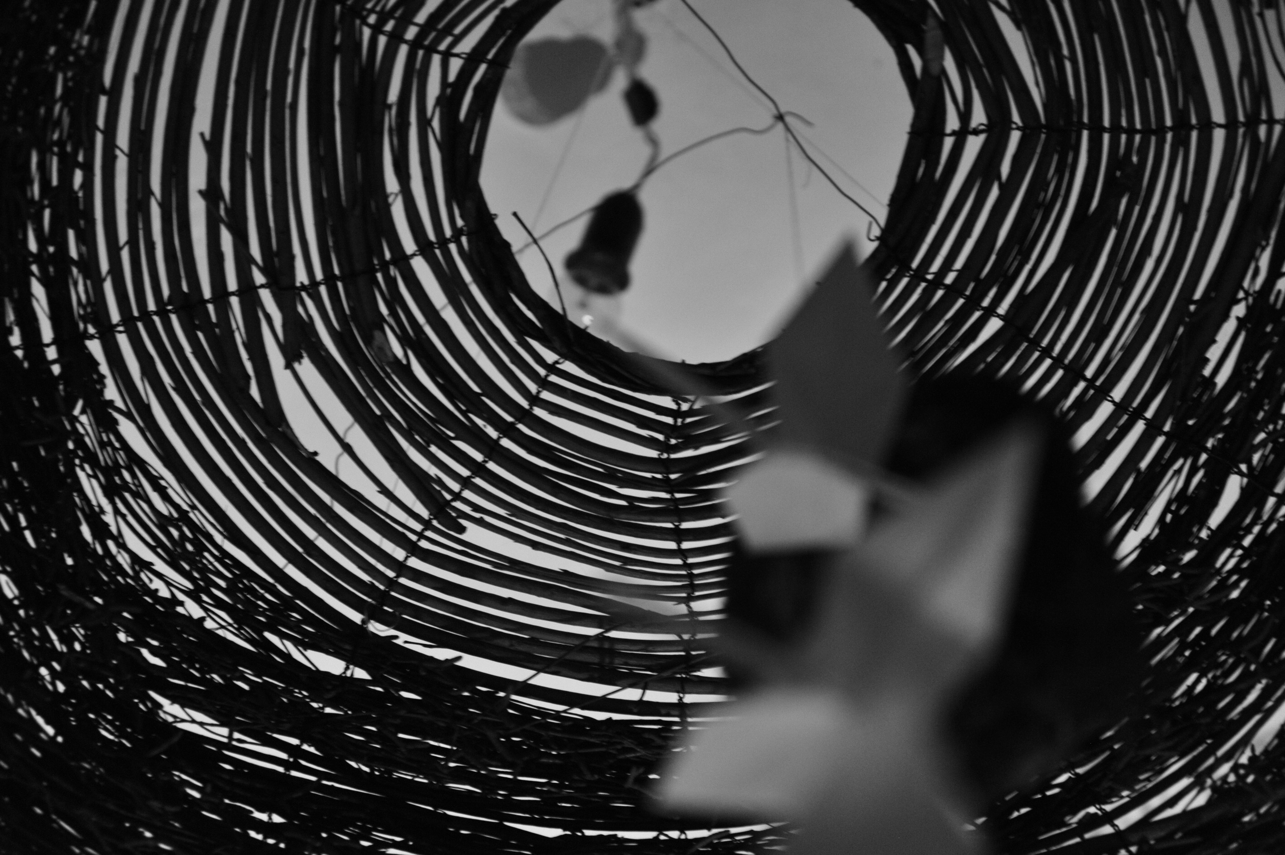 Фотограф Милена Яновска