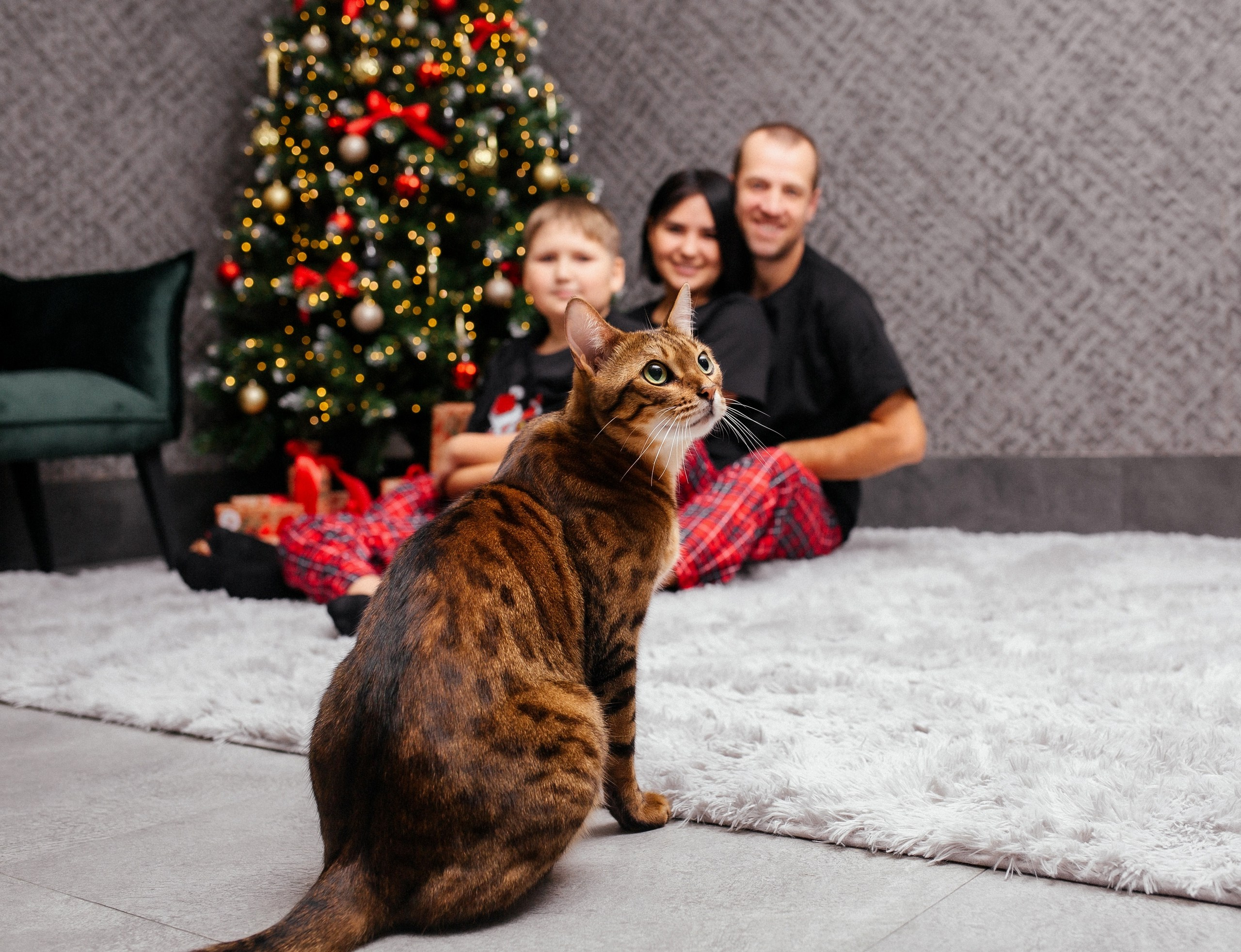 Новый год. Фотограф Сочи Адлер. Солькаева Анастасия